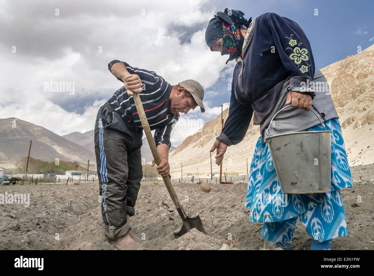 La gente la semina delle patate in un remoto villaggio vicino la Pamir Highway, in Tagikistan, in Asia centrale Foto Stock