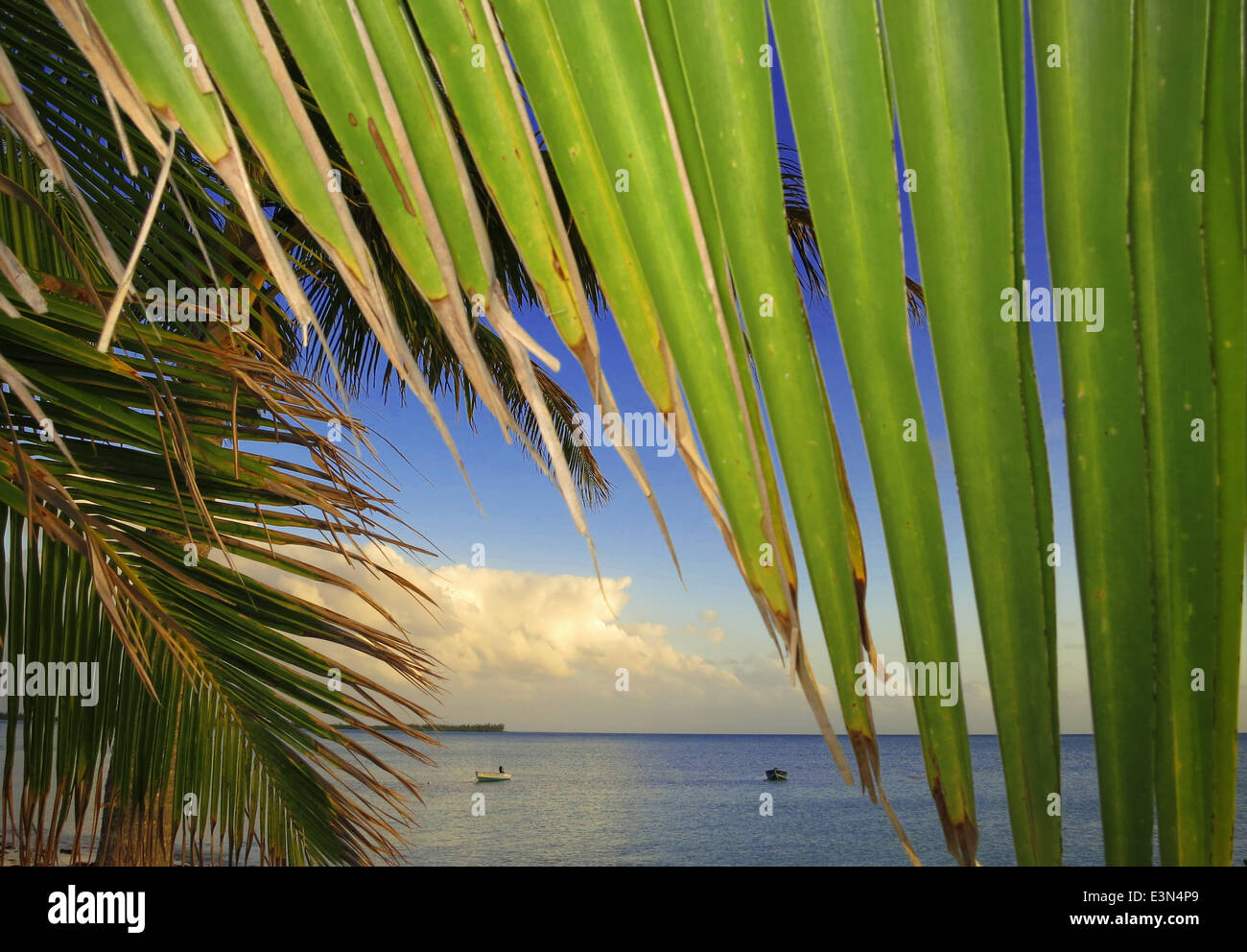 Di sera presto tramonto sull'Isola di Abaco delle Bahamas. Foto Stock