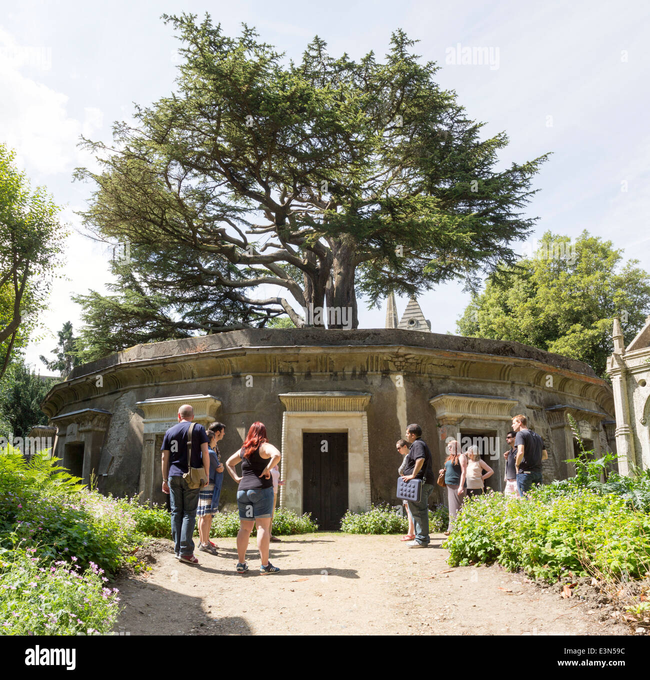 Cerchio del Libano - Highgate (Ovest) Cimitero - Camden - Londra Foto Stock