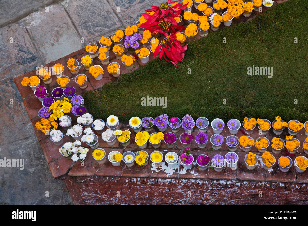 Flower offerte presso BODHANATH STUPA - Kathmandu, Nepal Foto Stock