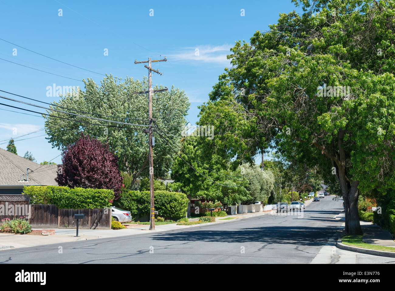 Una strada tranquilla in Atherton, California Foto Stock