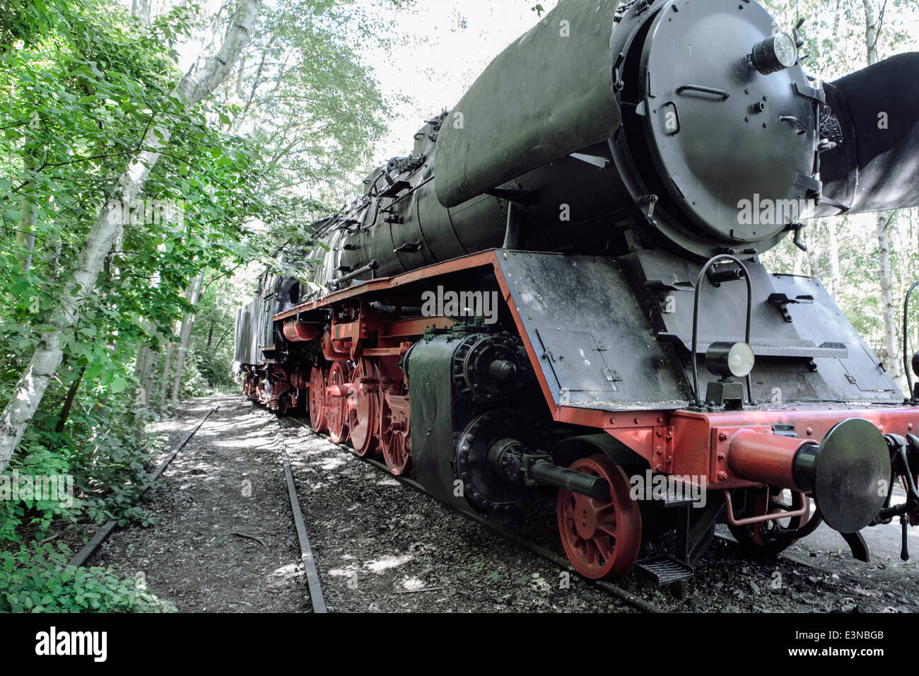 Treno a vapore il motore nella foresta Foto Stock