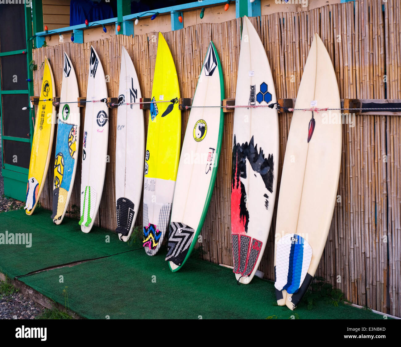 Tavole da surf in una fila in negozio Foto Stock