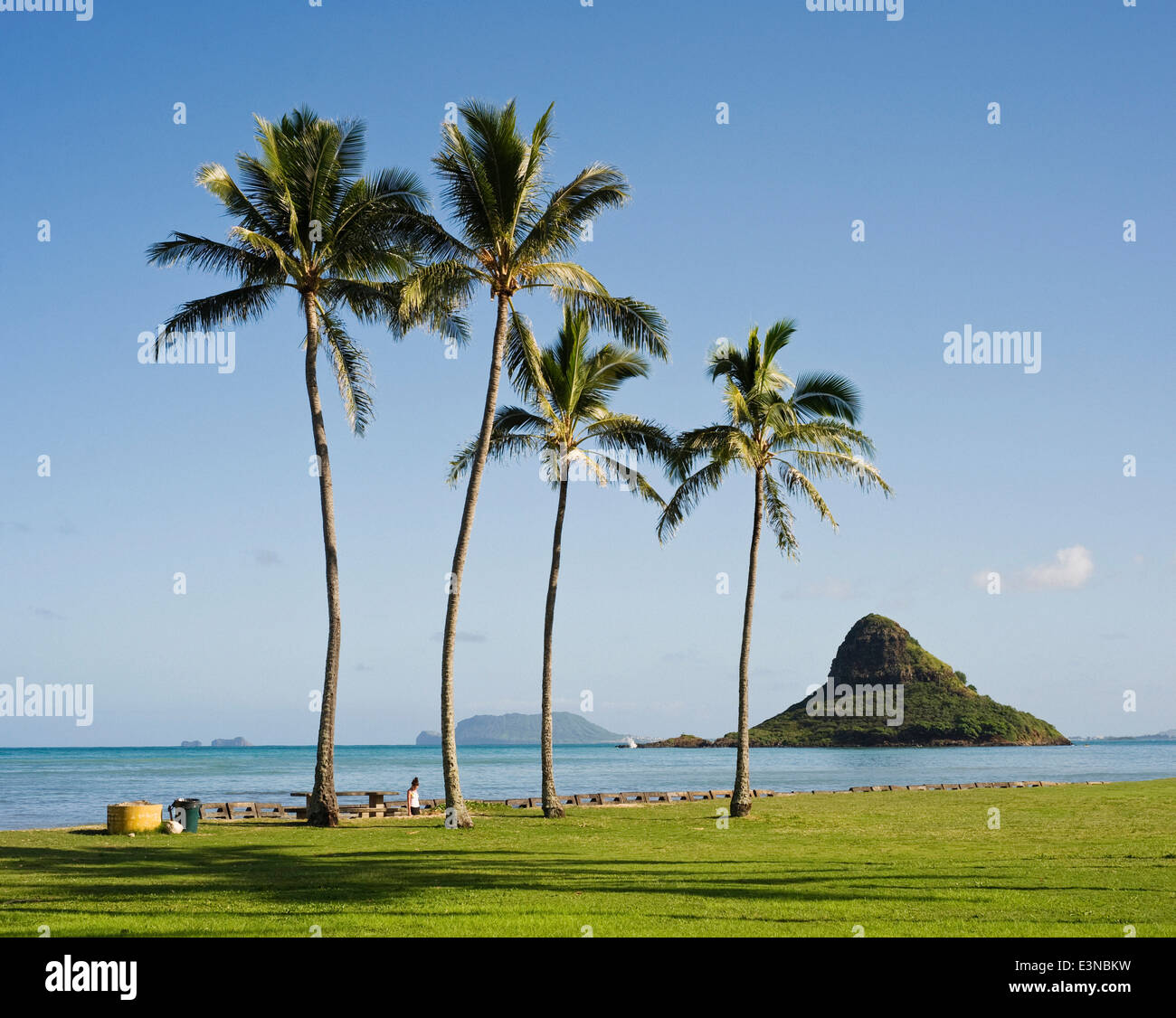 Vista dell'Isola di Mokoli'i (precedentemente conosciuta come il termine obsoleto 'cappello di Chinaman') dalla spiaggia, Oahu, Hawaii, USA Foto Stock