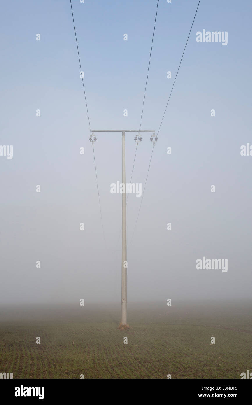 Pilone di elettricità in un campo di nebbia Foto Stock