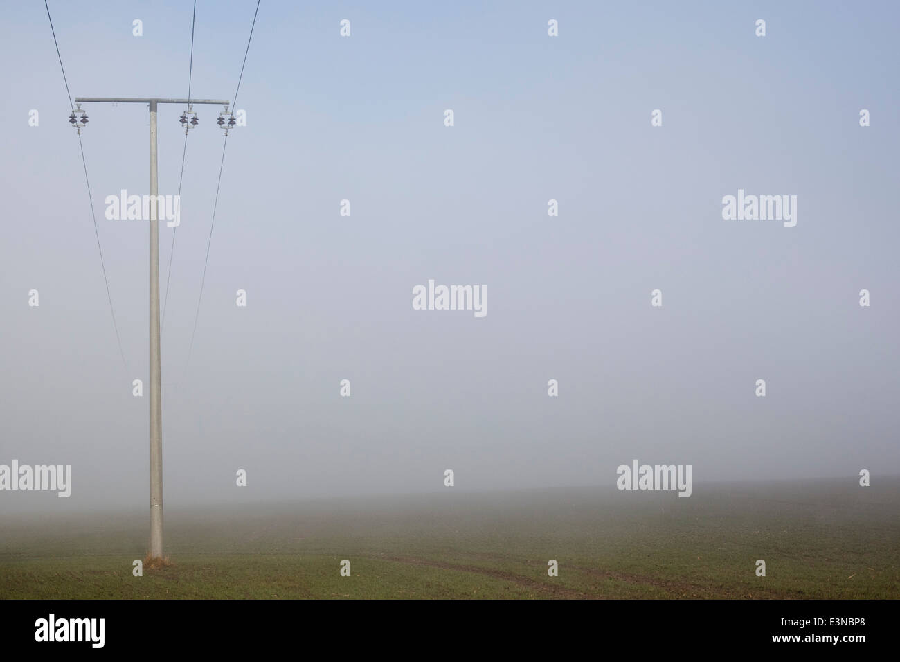 Pilone di elettricità in un campo di nebbia Foto Stock