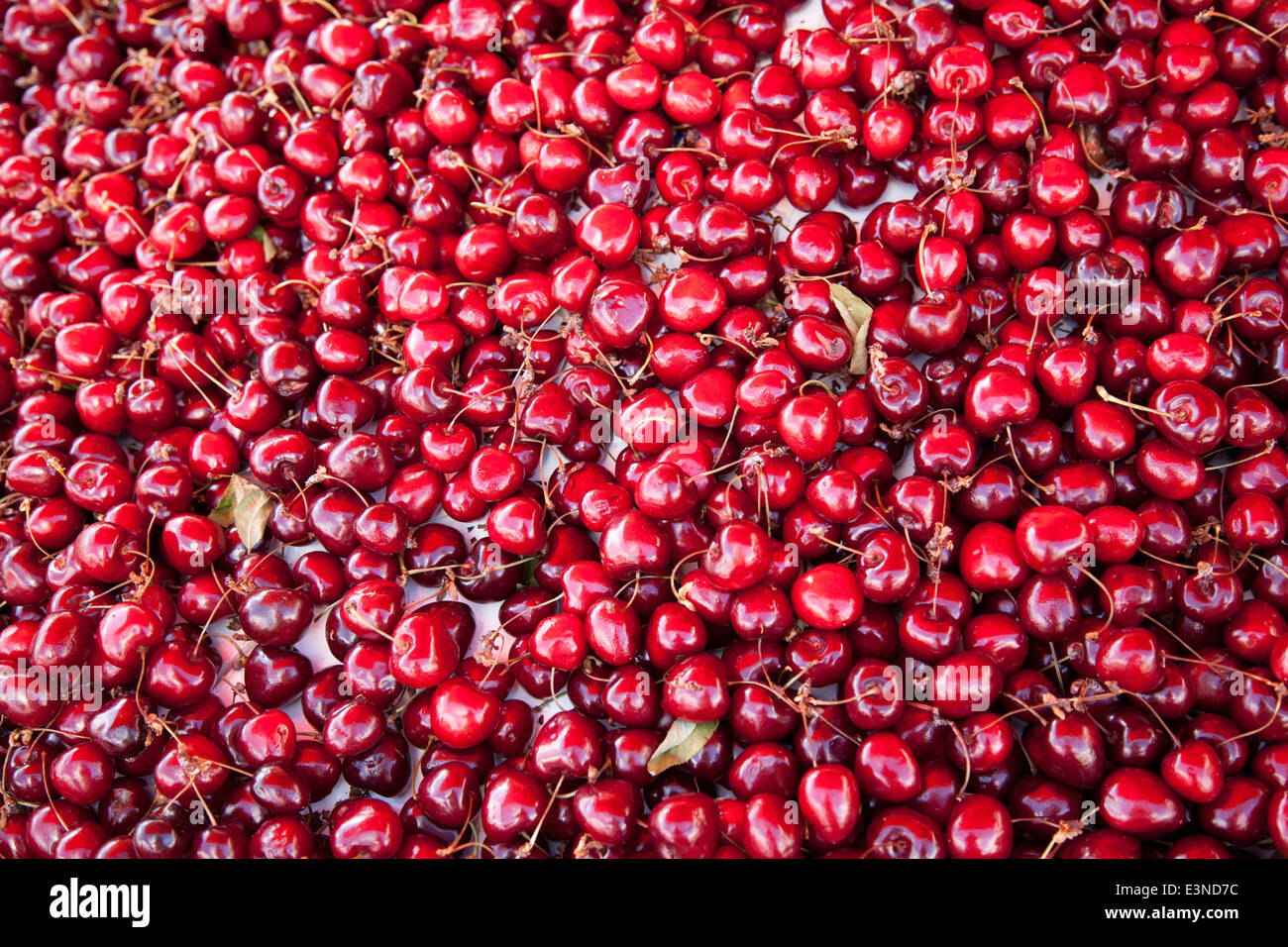 Un sacco di rosso ciliegia lucido Foto Stock