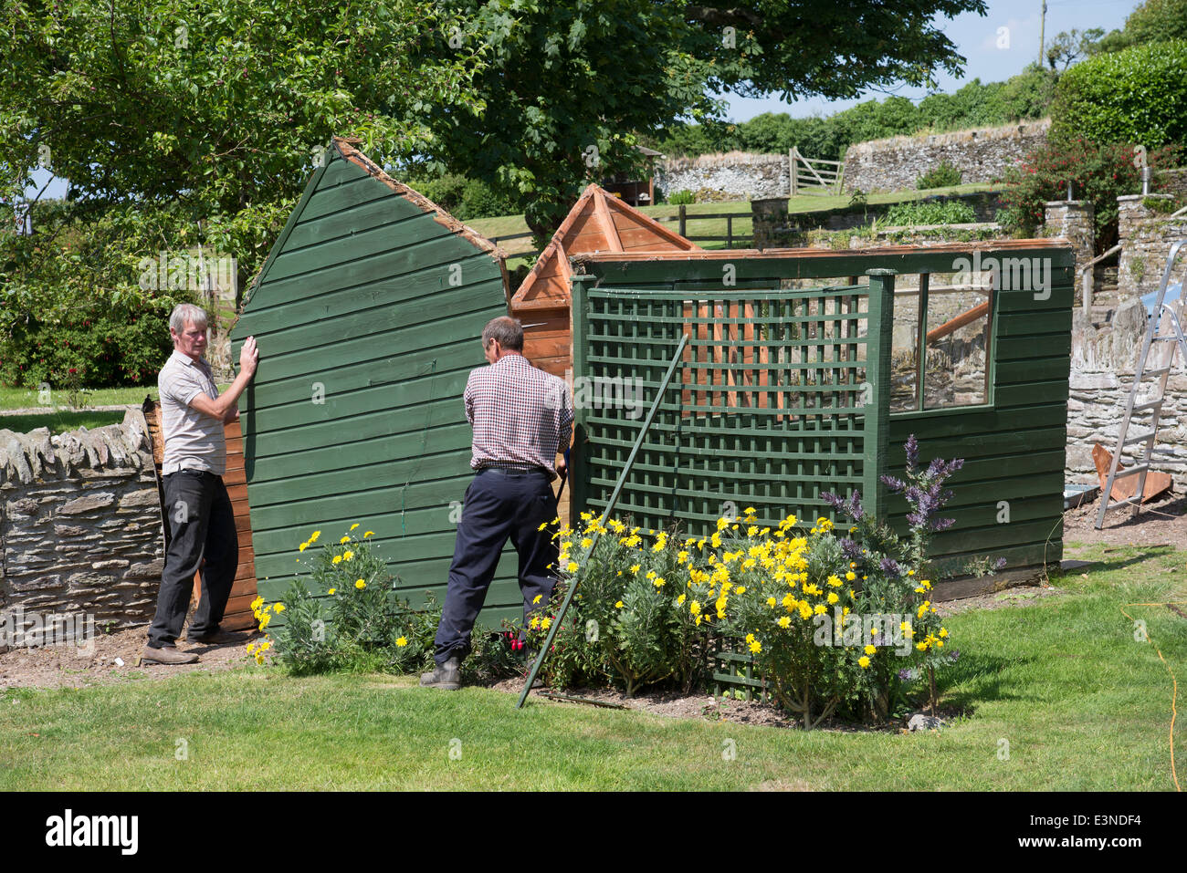 Gli uomini la demolizione di un vecchio dipinto di verde Tettoia da giardino Foto Stock