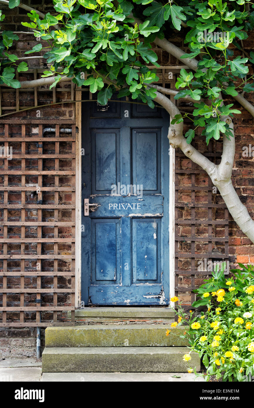 Vecchio Blu privato porta a Kew Gardens a Londra, Inghilterra Foto Stock