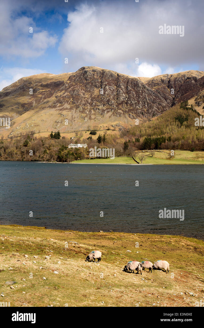 Regno Unito, Cumbria, Lake District, Buttermere, vista sul lago a Dalegarth Foto Stock