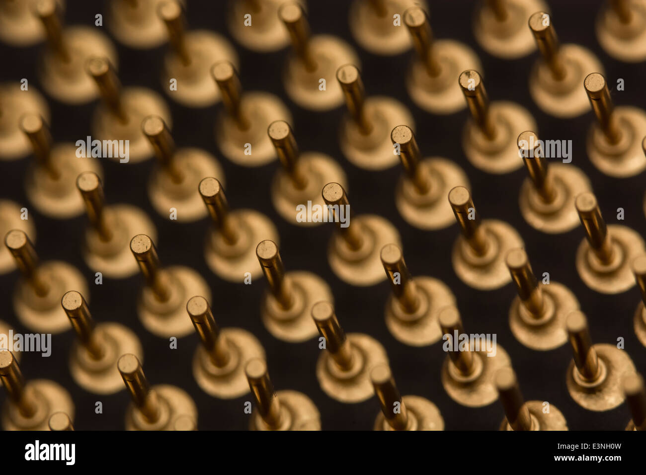 Micro-foto di oro contatti rivestiti di un computer CPU. Per punto di messa a fuoco vedere 'Descrizione'. Foto Stock