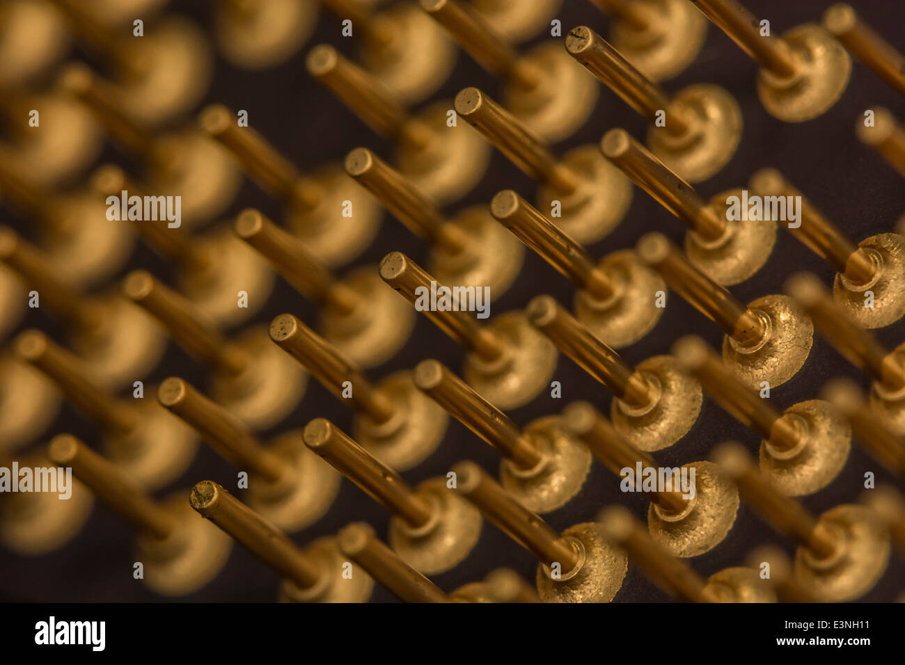 Micro-foto di oro contatti rivestiti di un computer CPU. Per punto di messa a fuoco vedere 'Descrizione'. Foto Stock