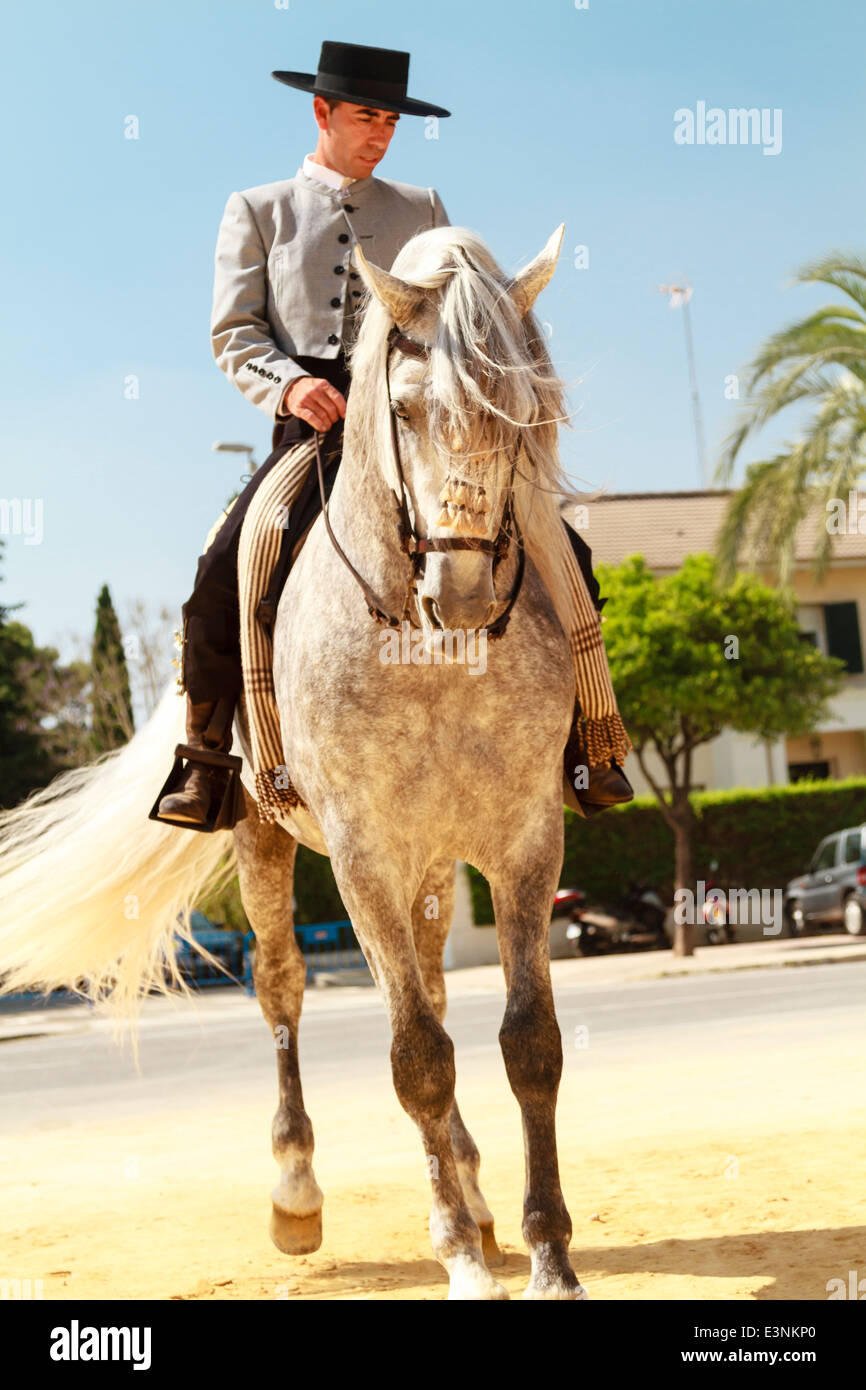 Il pilota maschio decked out in traditinal flat-sormontato hat sul suo cavallo rampante in strada durante la Feria del Caballon. Foto Stock