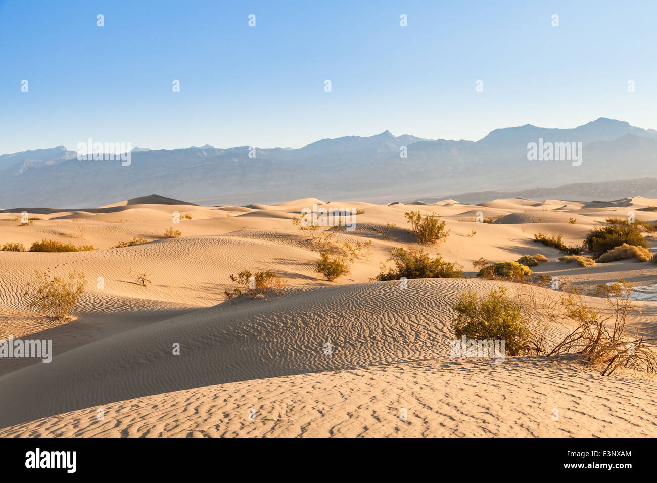 Le dune di sabbia di Mesquite piatto nella Valle della Morte nel deserto - California Foto Stock