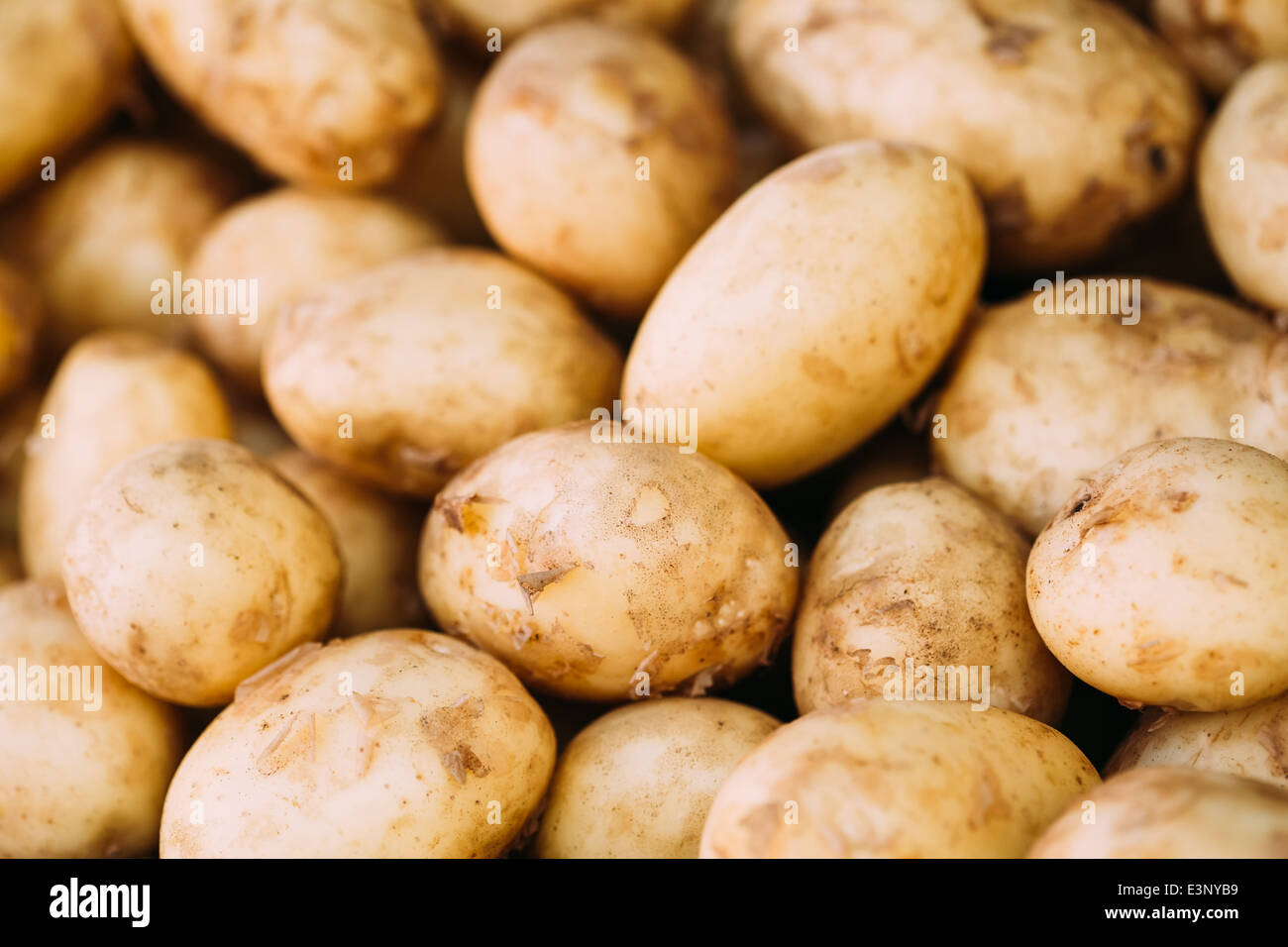 Fresco giovane organico giallo grezzo di patate sul locale agricolo mercato ortofrutticolo. Per il pattern di consistenza e di sfondo Foto Stock