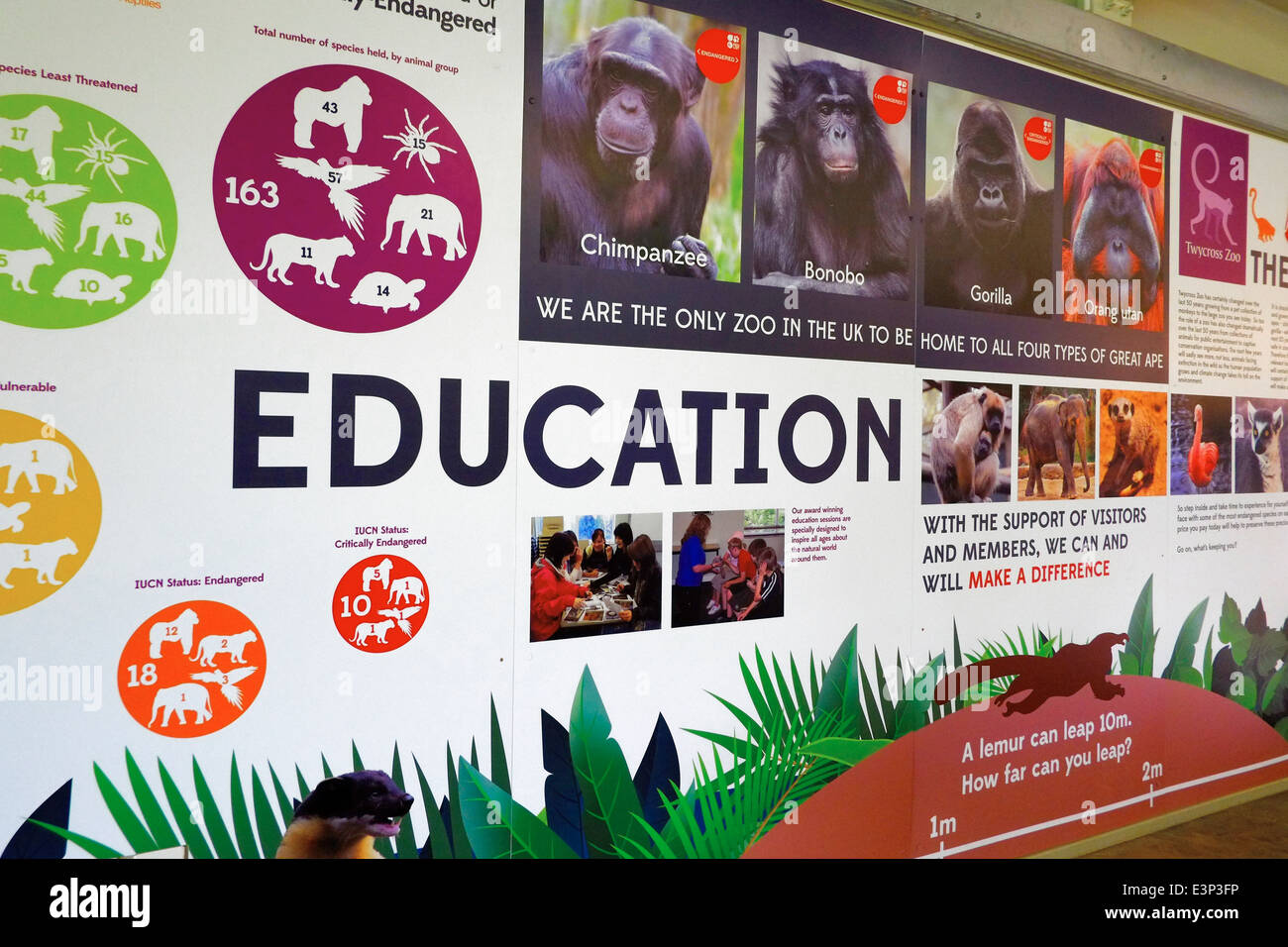 Lo Zoo di parete di istruzione firmare lo Zoo Twycross England Regno Unito Foto Stock