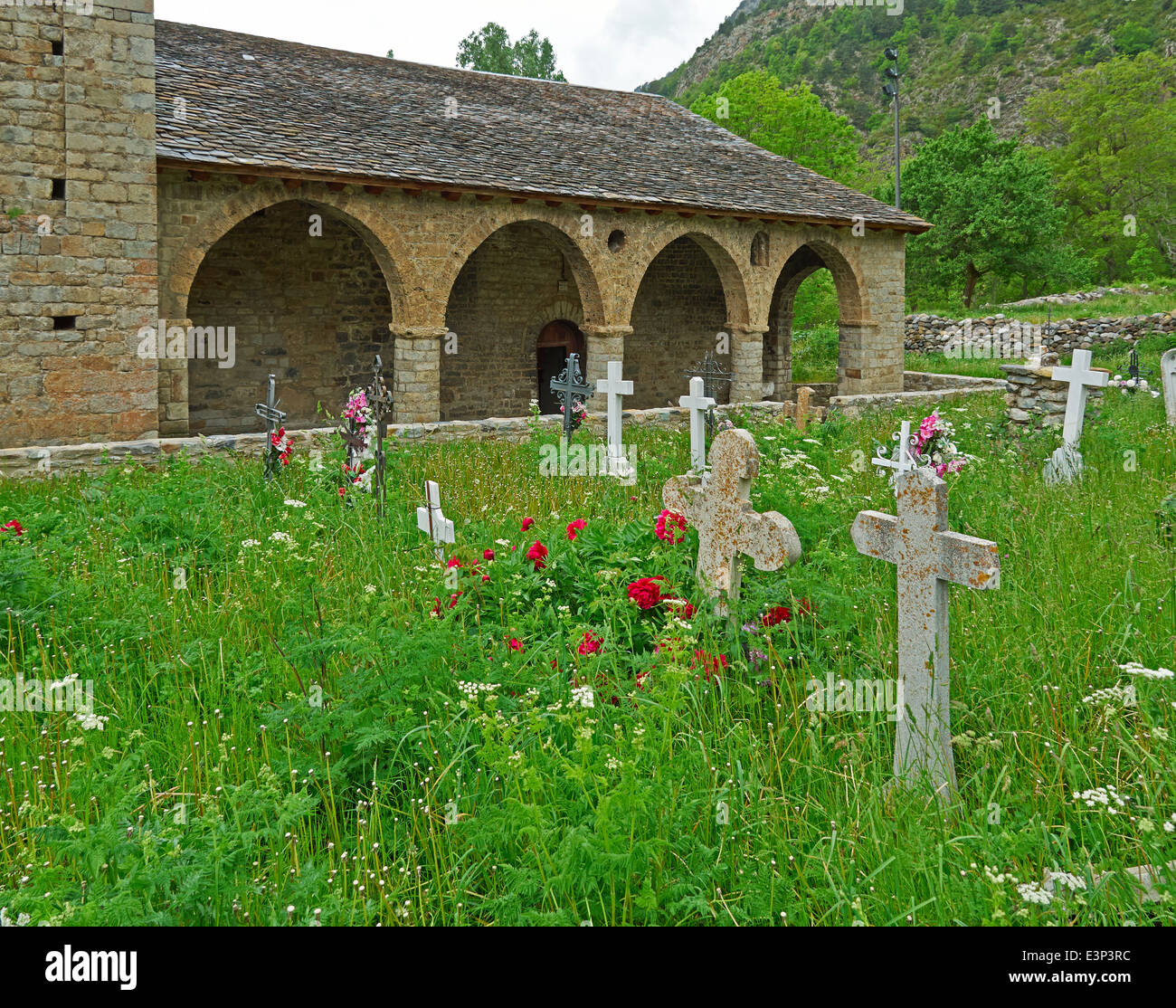 Santa Eulalia d'Erill la Vall, Vall de Boi. Incolto cimitero pieno di fiori selvatici è tipica delle chiese in questa regione. Foto Stock