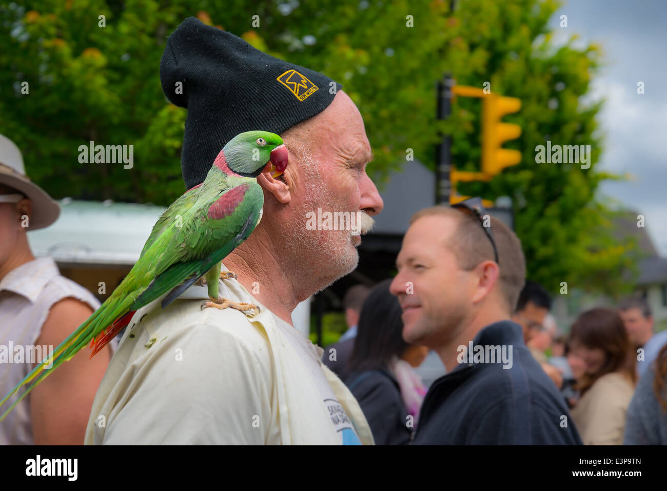 Uomo con il pappagallo sulla spalla Foto stock - Alamy