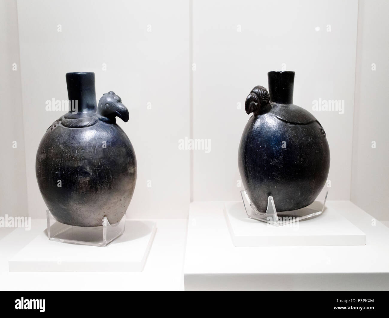 Parzialmente bottiglie scolpita Chimu periodo imperiale annuncio 1300-1532 Museo de Arte Precolombino, Cusco - Perù una equilibrata sinergia tra forma e volume è sviluppato nella creazione di queste bottiglie. Gli uccelli, con tutte le loro caratteristiche ben definite, riposo su perfettamente raggiunti basi globulare che, anziché ensconce o sminuire la bellezza del design aviaria, servire ma non ulteriormente migliorare. Sembra essere l'artista desidera motivare le curiosità da questa bella coppia di ceramiche, in cui la perfezione del design e la finezza impiegato per omettere alcuni elementi del Foto Stock