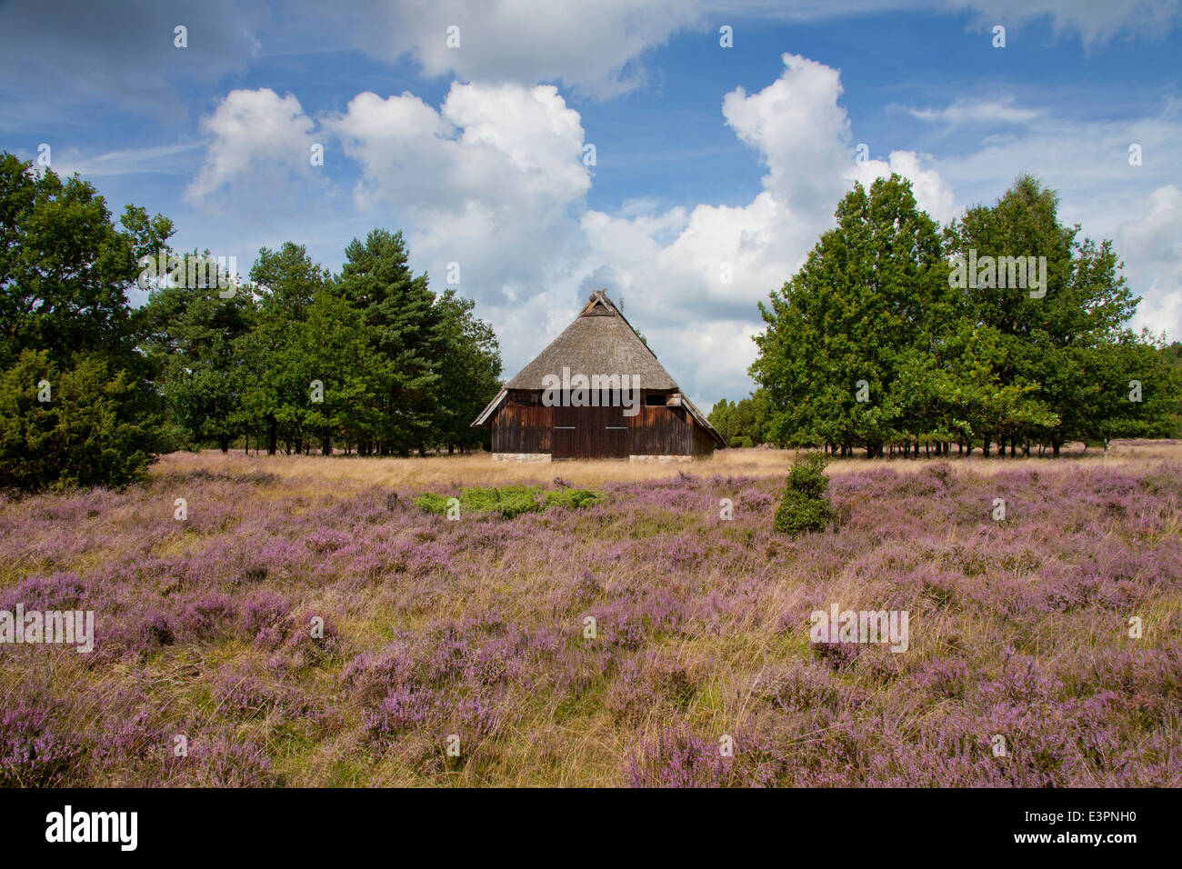 Vecchio ovini-cote. Lueneburg Heath, Bassa Sassonia, Germania Foto Stock