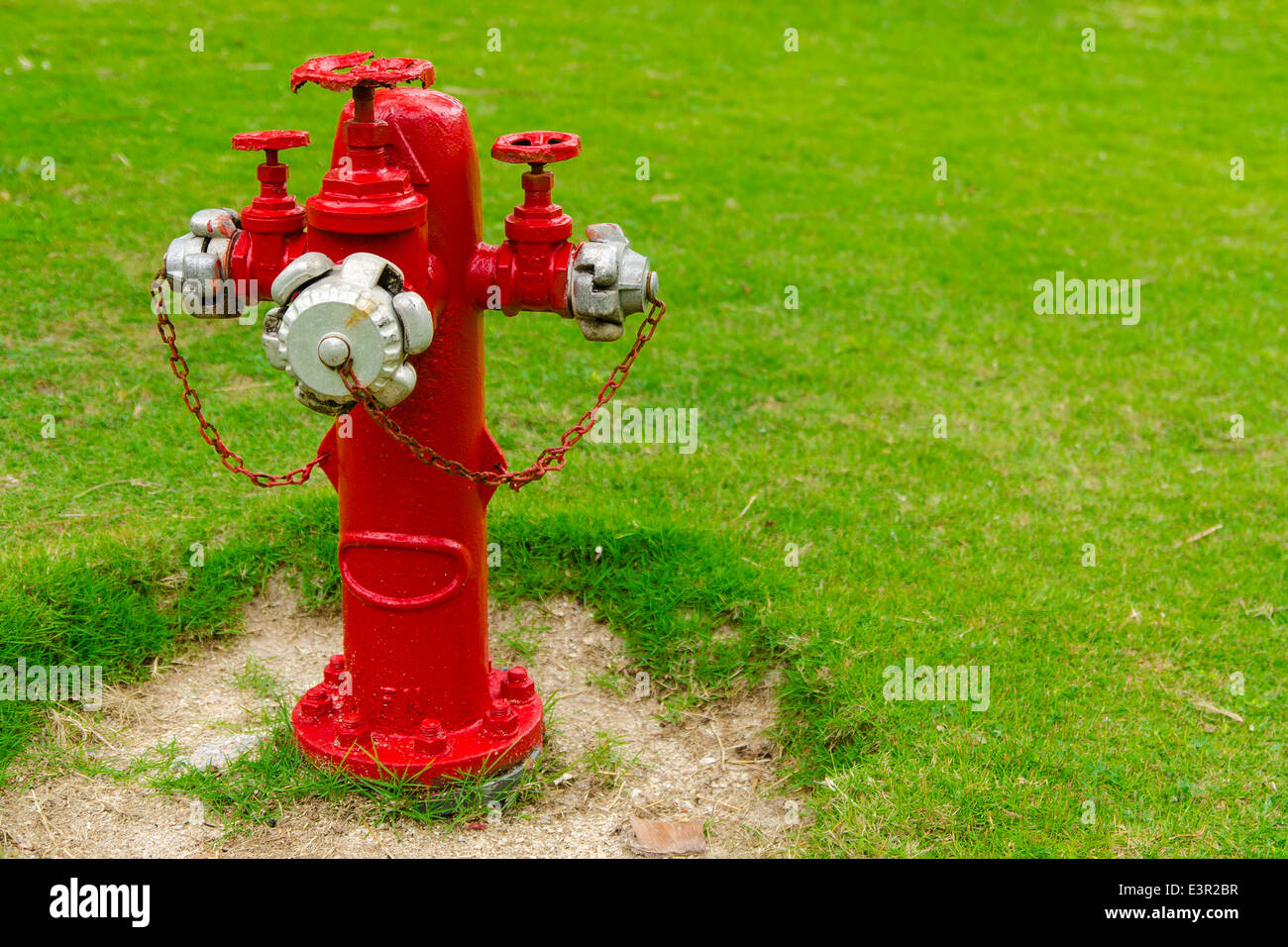 Idrante vecchio nel giardino, erba verde Foto Stock