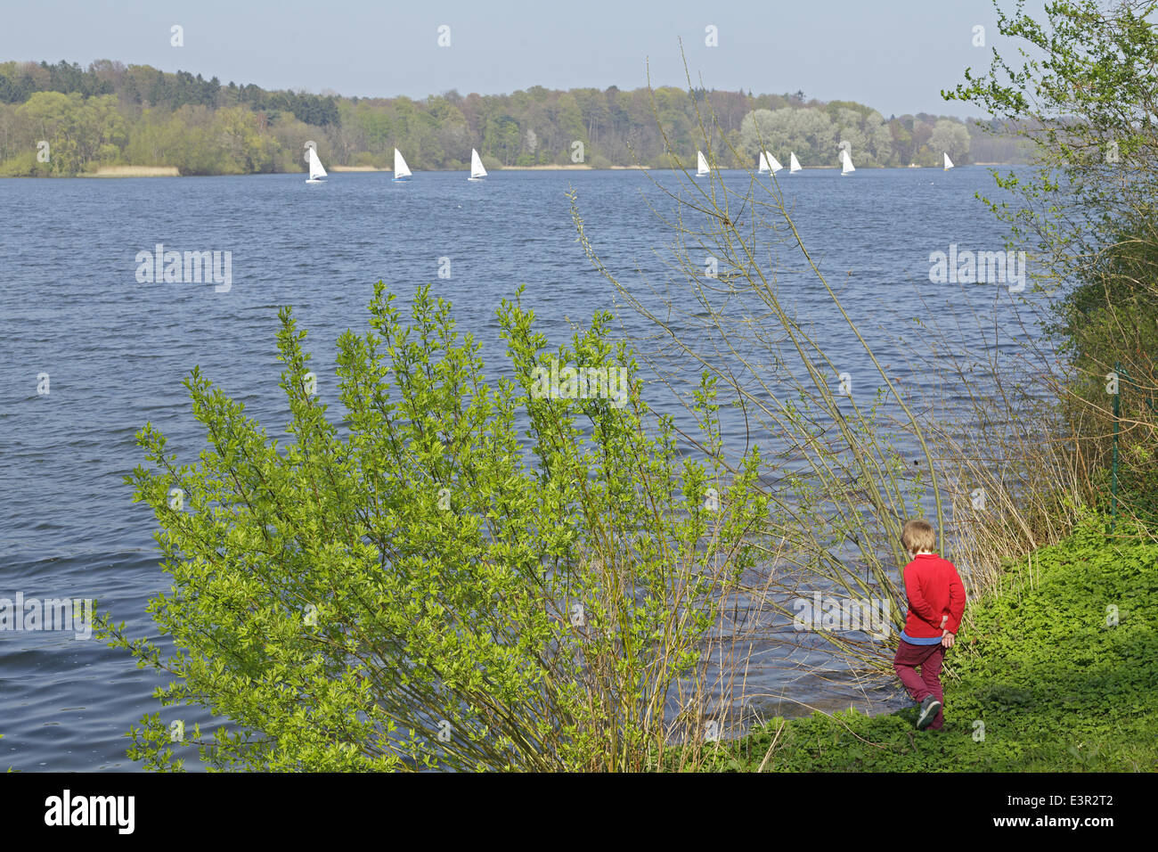 Barche a vela, il grande lago, Eutin, Schleswig-Holstein, Germania Foto Stock