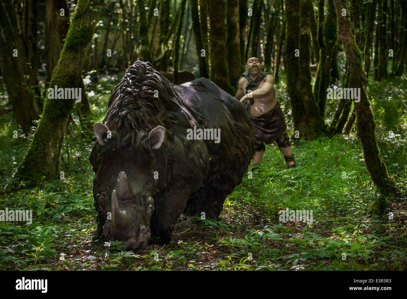 Il cacciatore di Neanderthal inseguono lanosi rinoceronte (Coelodonta antiquitatis) al Parc Prehisto circa la vita preistorica a Tursac, Francia Foto Stock