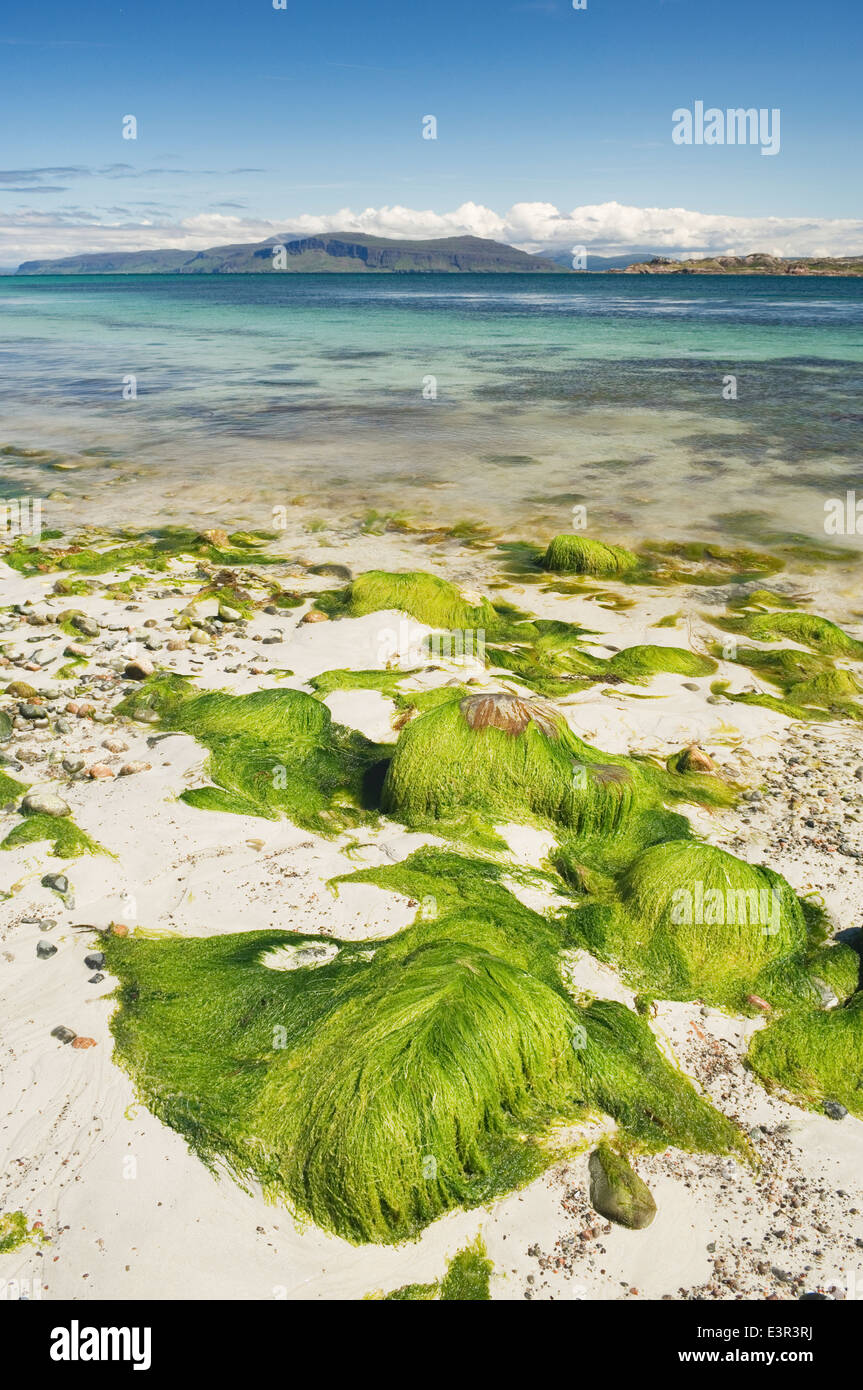 Beach sull'isola di Iona, Argyll, Scozia. Foto Stock