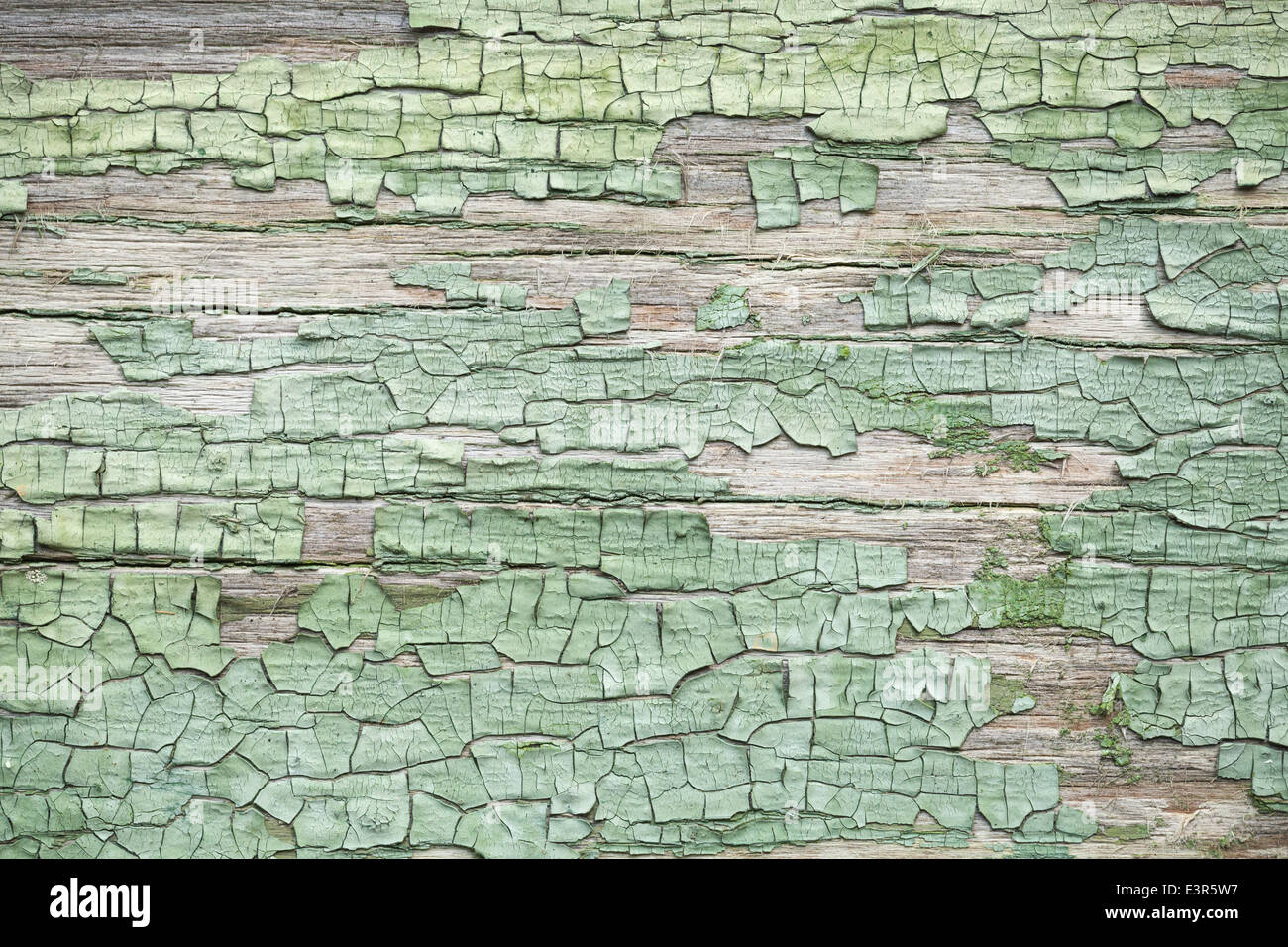 Antichi verde weathered pareti in legno con vernice incrinato Foto Stock