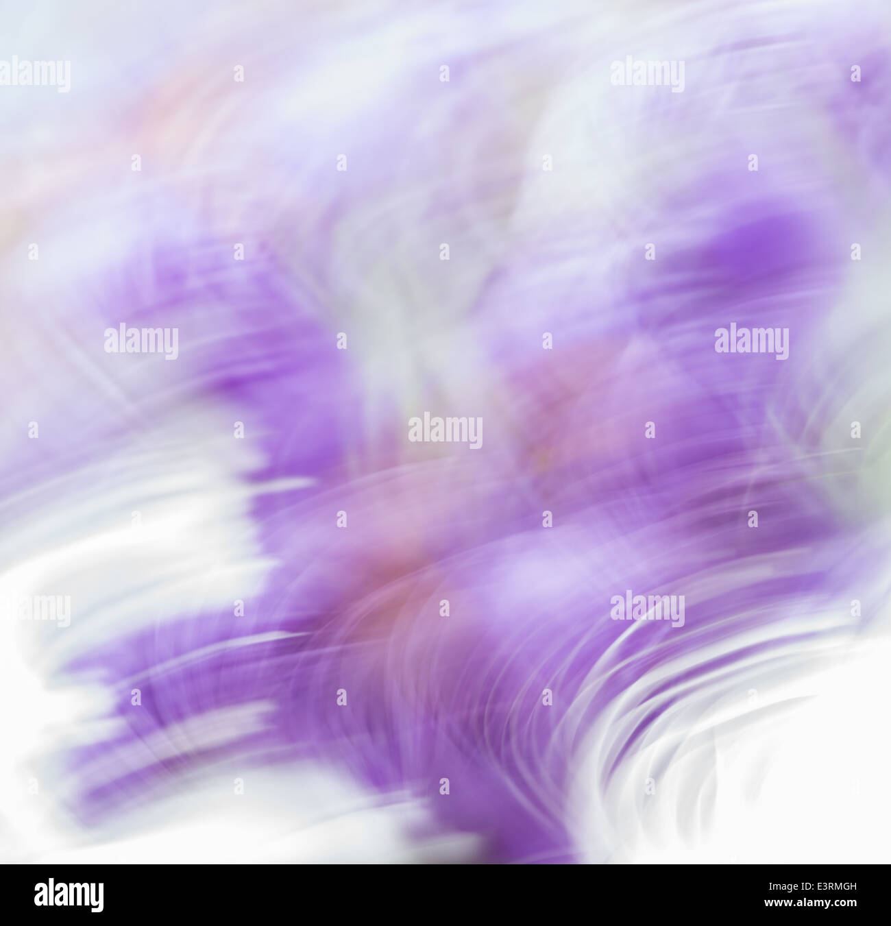 Abstract background in viola e bianco colori, per effetto del movimento di arte fotografica Foto Stock