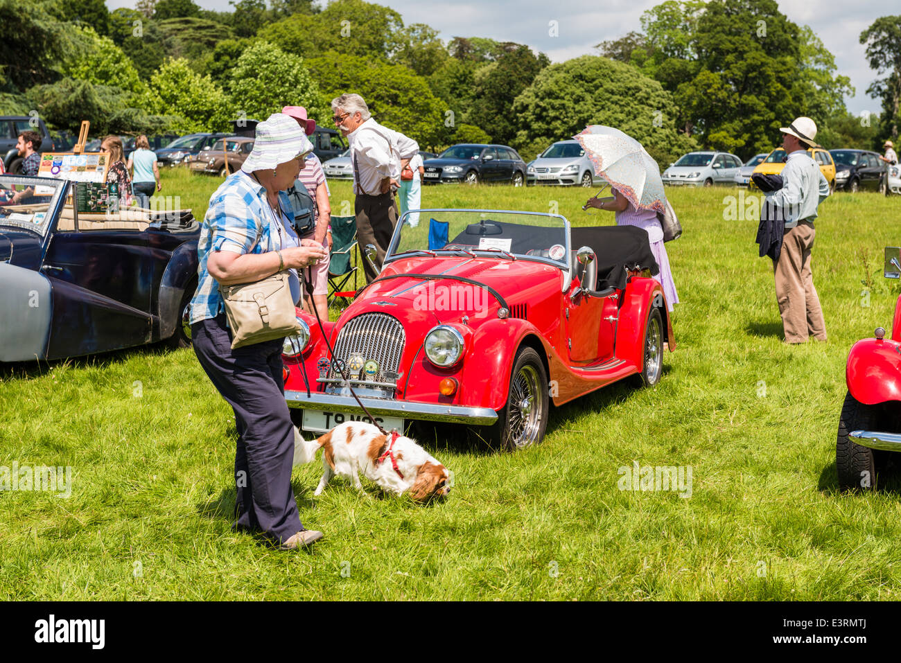 East Devon, in Inghilterra. Il 21 giugno 2014. Un Vintage Morgan auto sportiva un party in giardino e Fete. Foto Stock