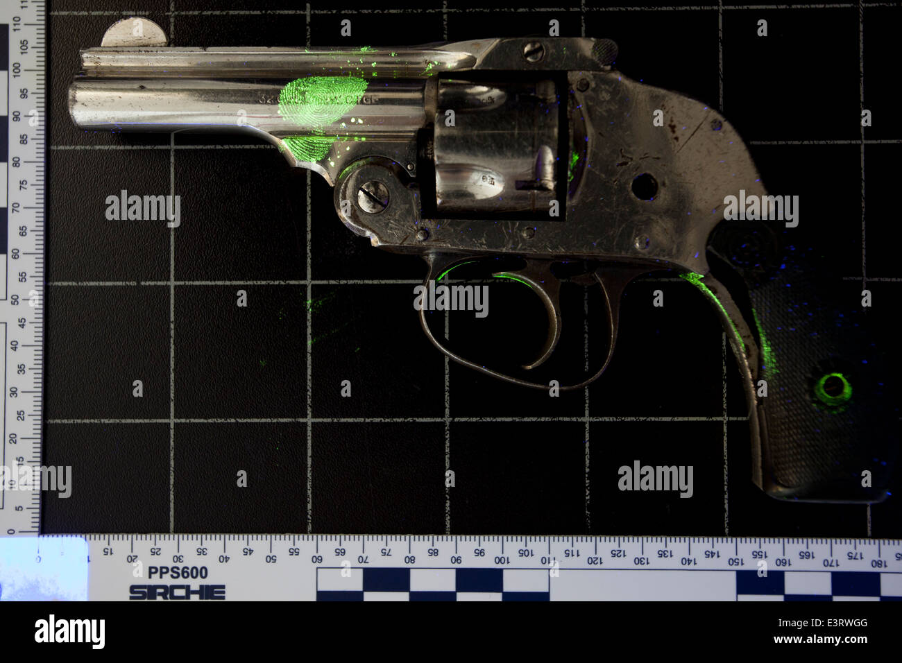 Pistola dopo il trattamento per le impronte digitali utilizzando fluorescenza polvere prima di essere fotografati sotto luce ultravioletta Foto Stock