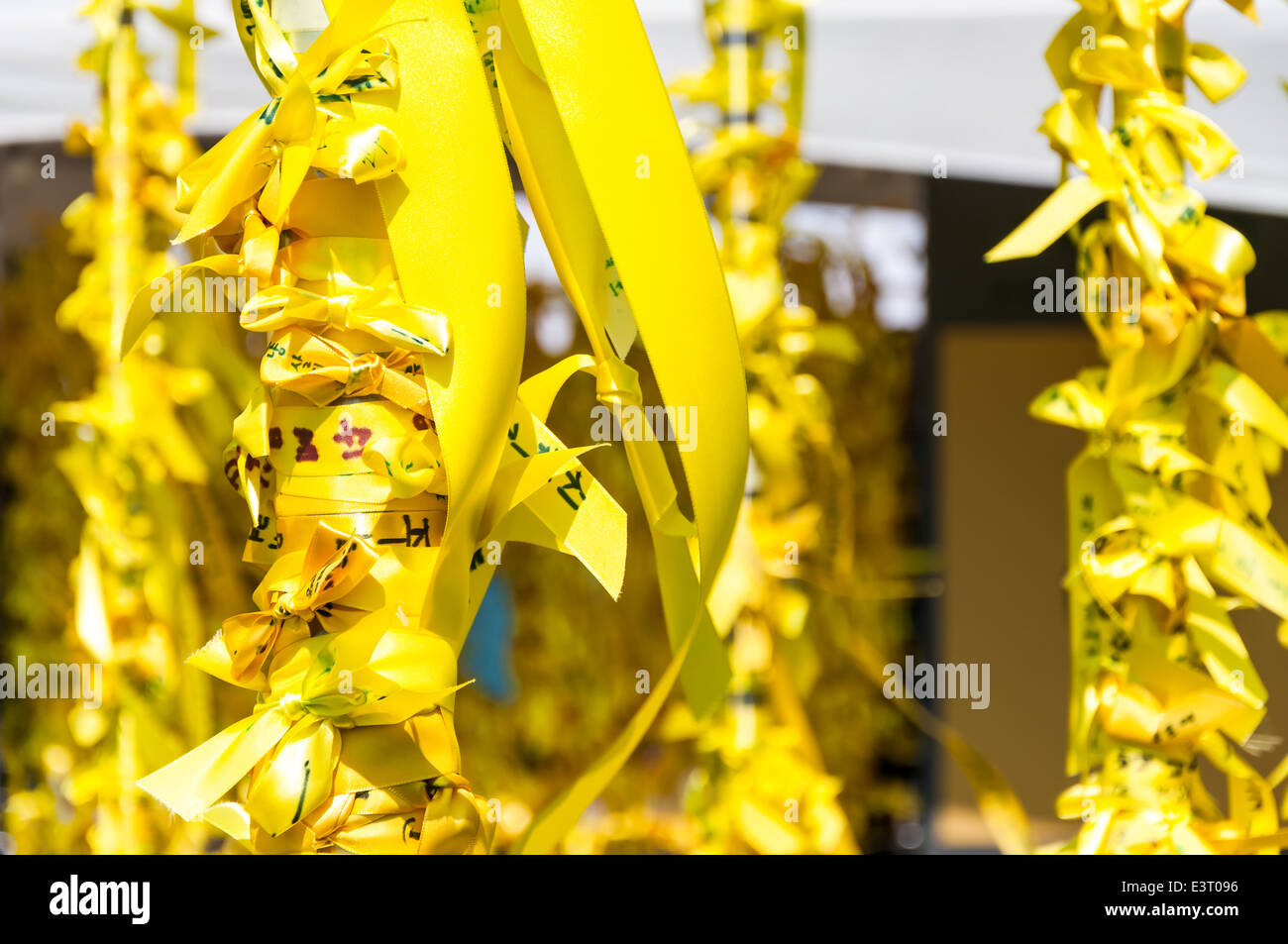 Nastri giallo appendere fuori del municipio di Seoul il 6 maggio 2014 in memoria delle vite perse in traghetto Sewol tragedia. Foto Stock