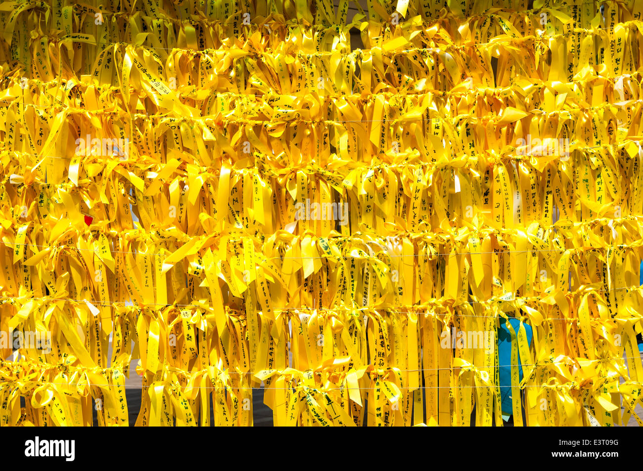 Nastri giallo appendere fuori del municipio di Seoul il 6 maggio 2014 in memoria delle vite perse in traghetto Sewol tragedia. Foto Stock