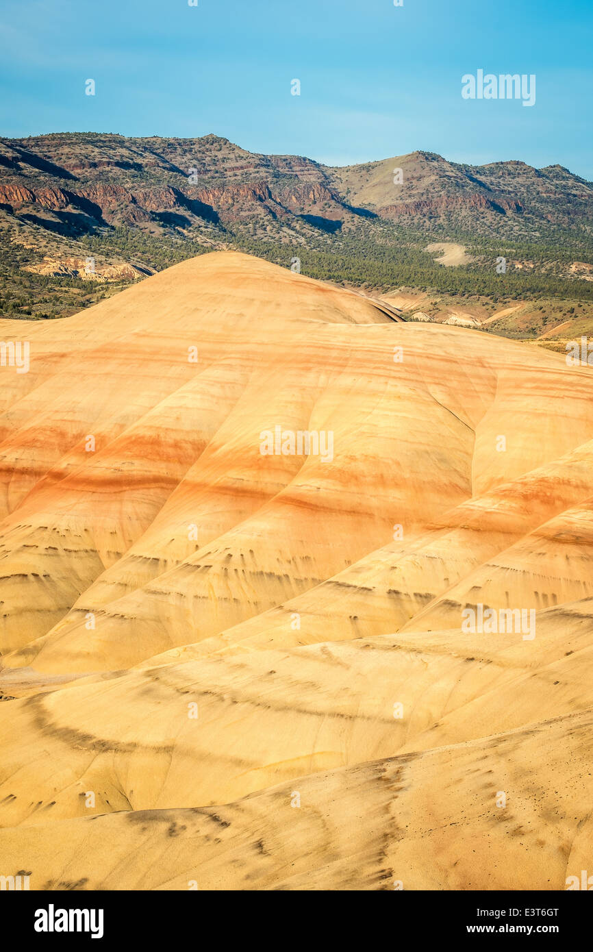 Il dipinto di colline in John Day Fossil Beds National Monument, Oregon Foto Stock