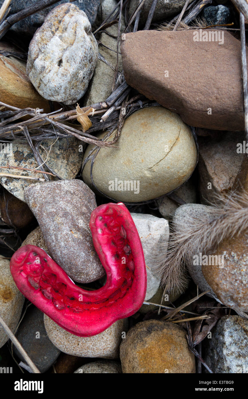 Un rosso, Dirty Mouth Guard persi o scartati su una pila di rocce Foto Stock