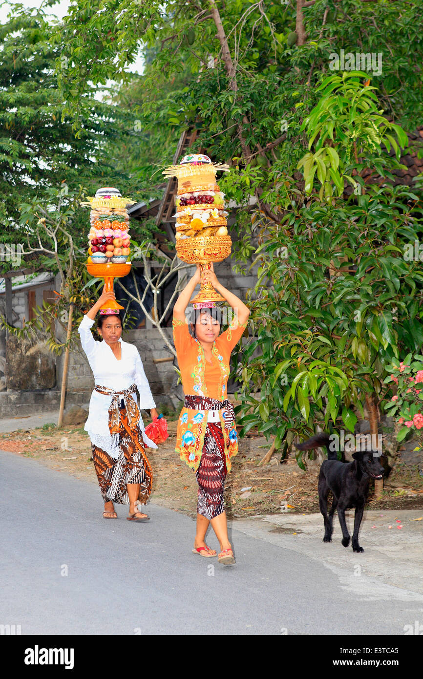 Due donne Balinesi che trasportano le offerte del tempio, nei pressi di Ubud, Bali, Indonesia Foto Stock