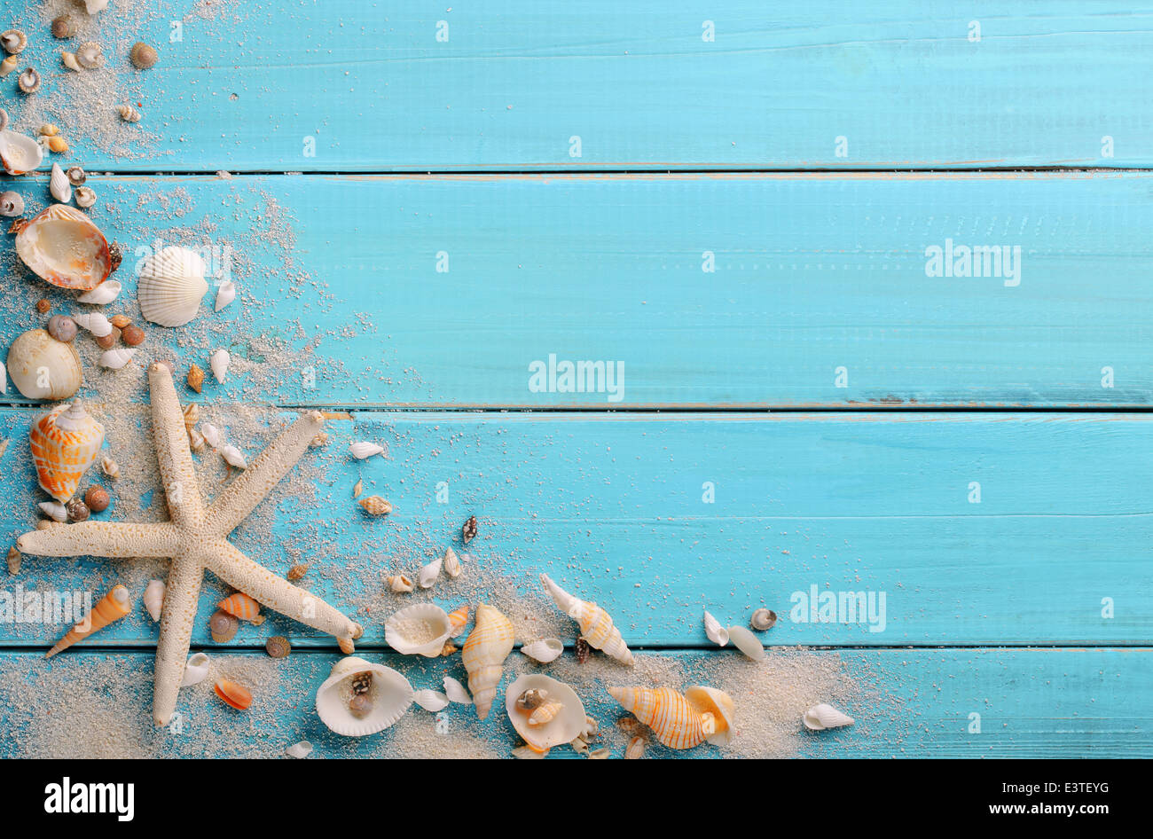 Seashells su sfondo di legno Foto Stock