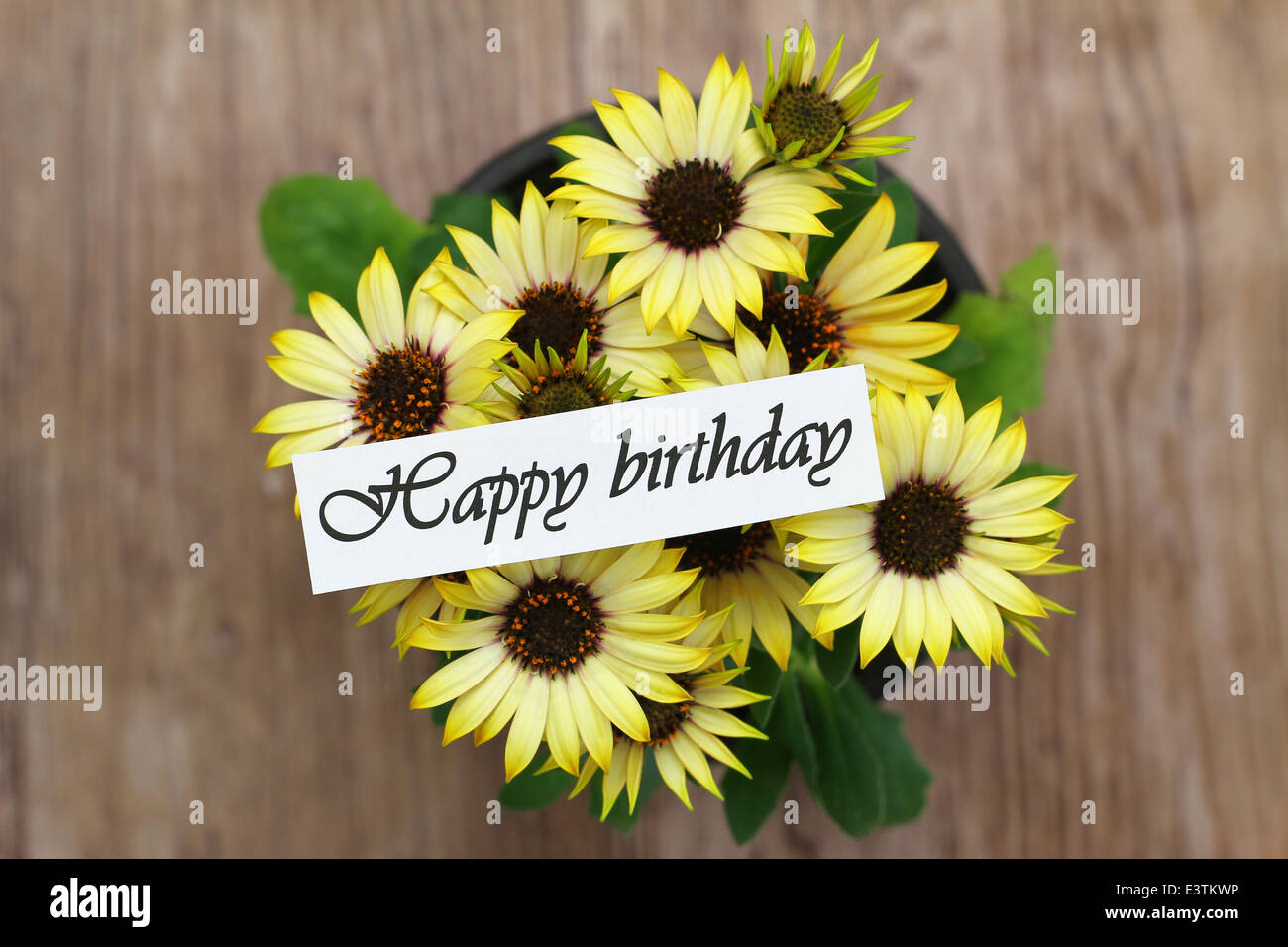 Buon Compleanno Card Con Margherite Giallo Foto Stock Alamy