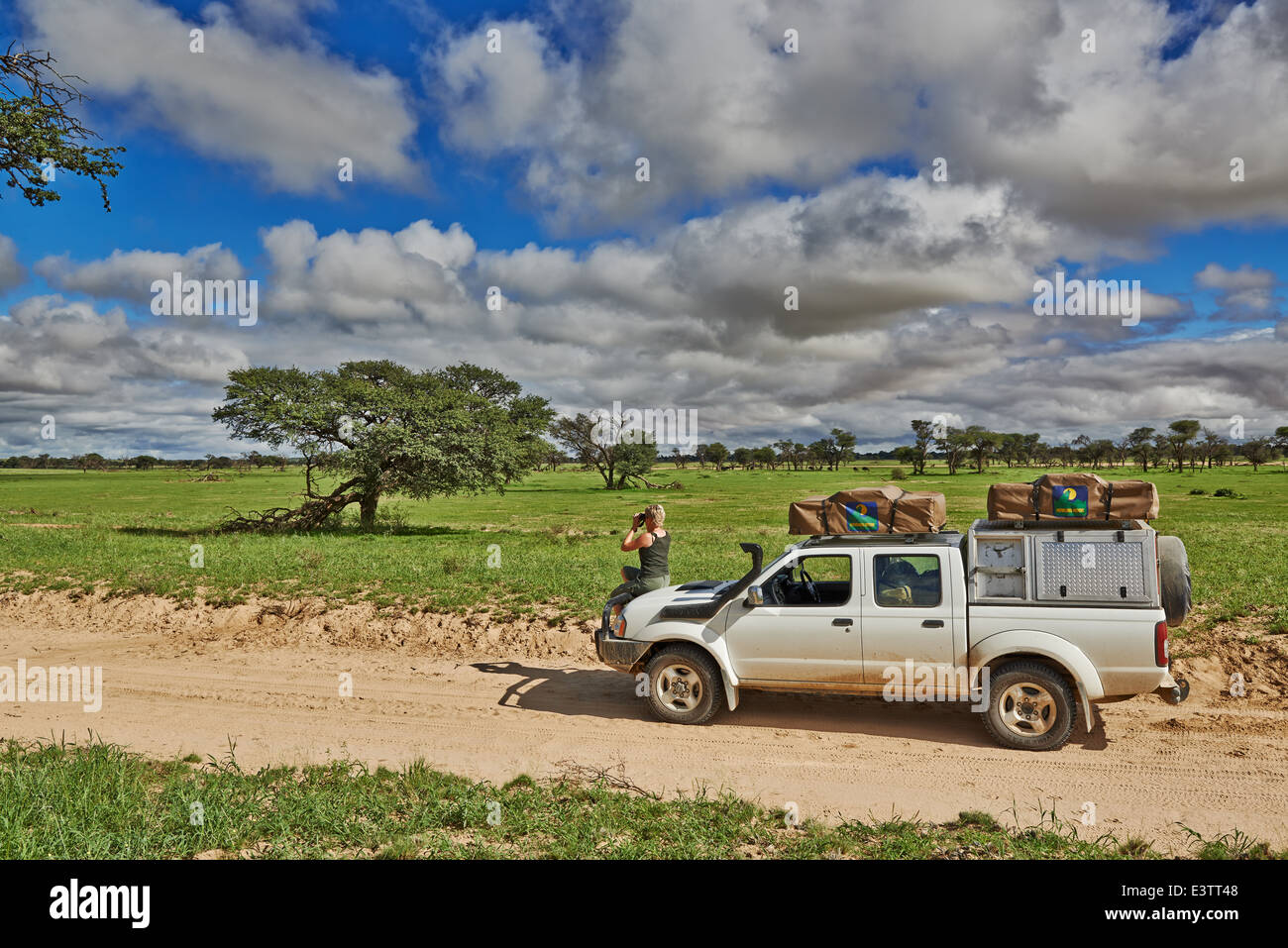 4x4 auto nel paesaggio di Kgalagadi Parco transfrontaliero, il Kalahari, Sud Africa, Botswana, Africa Foto Stock