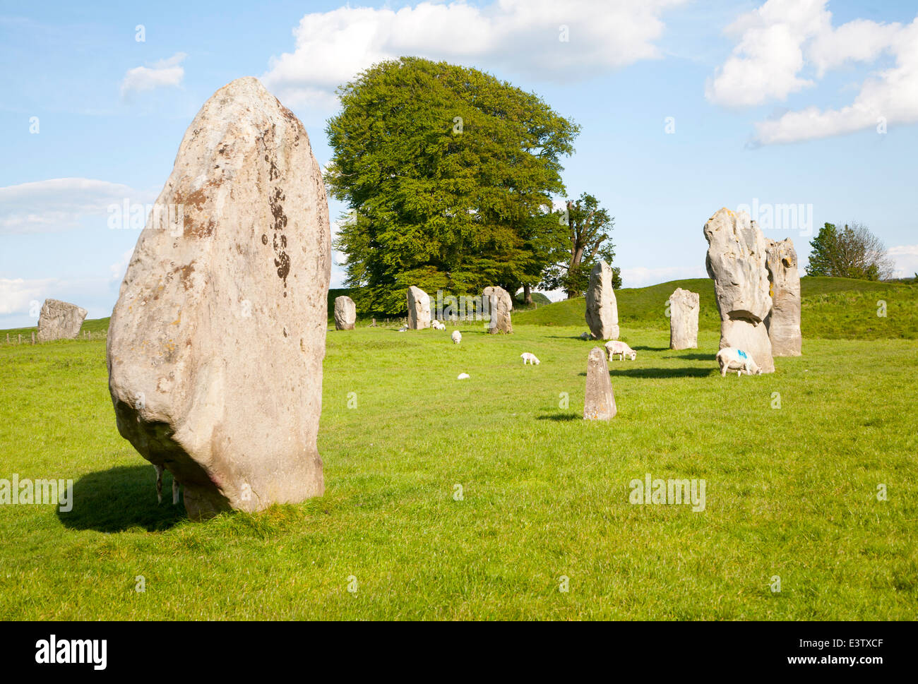 Neolitico circolo di pietra di Avebury, Wiltshire, Inghilterra Foto Stock