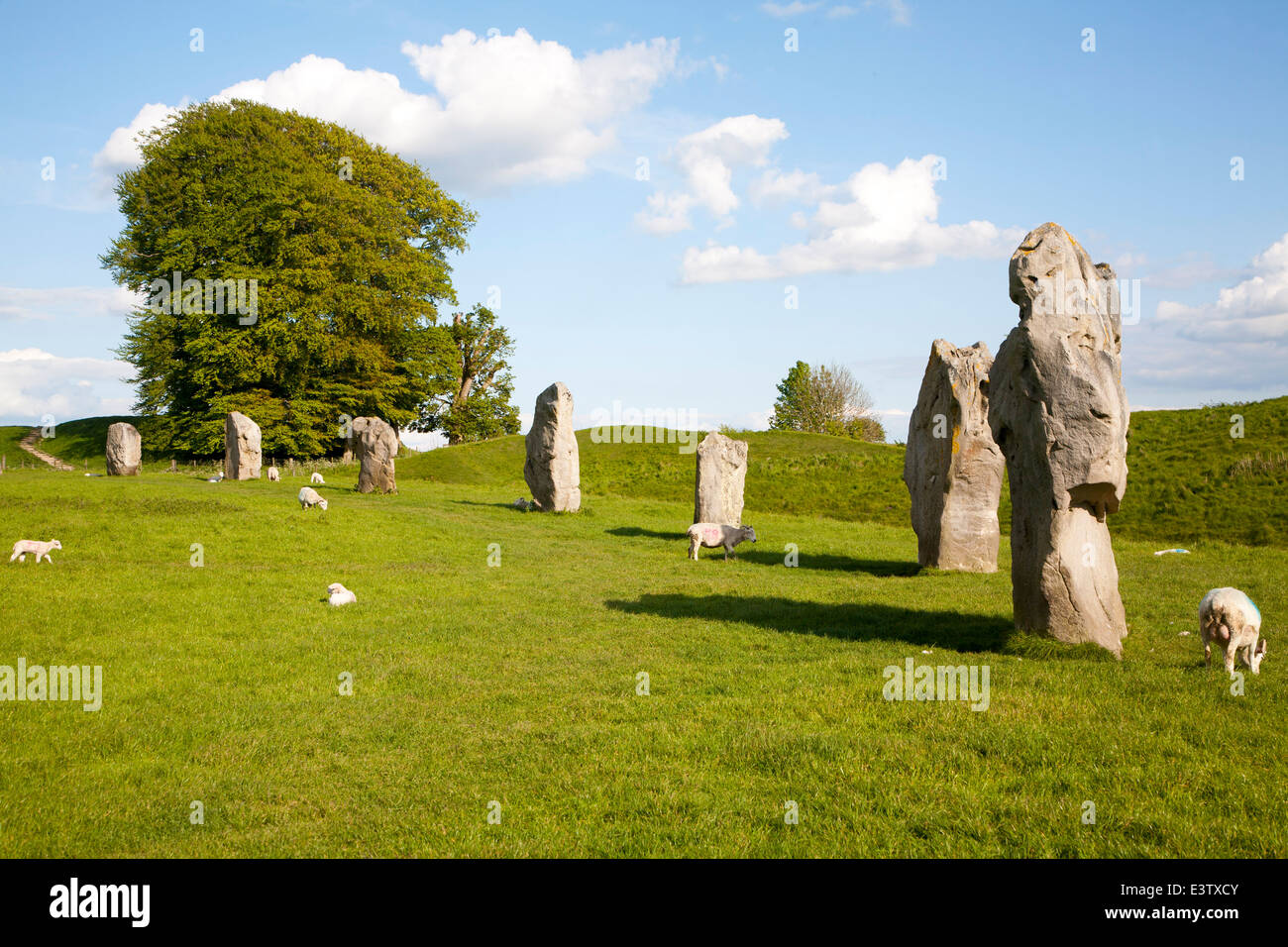 Neolitico circolo di pietra di Avebury, Wiltshire, Inghilterra Foto Stock