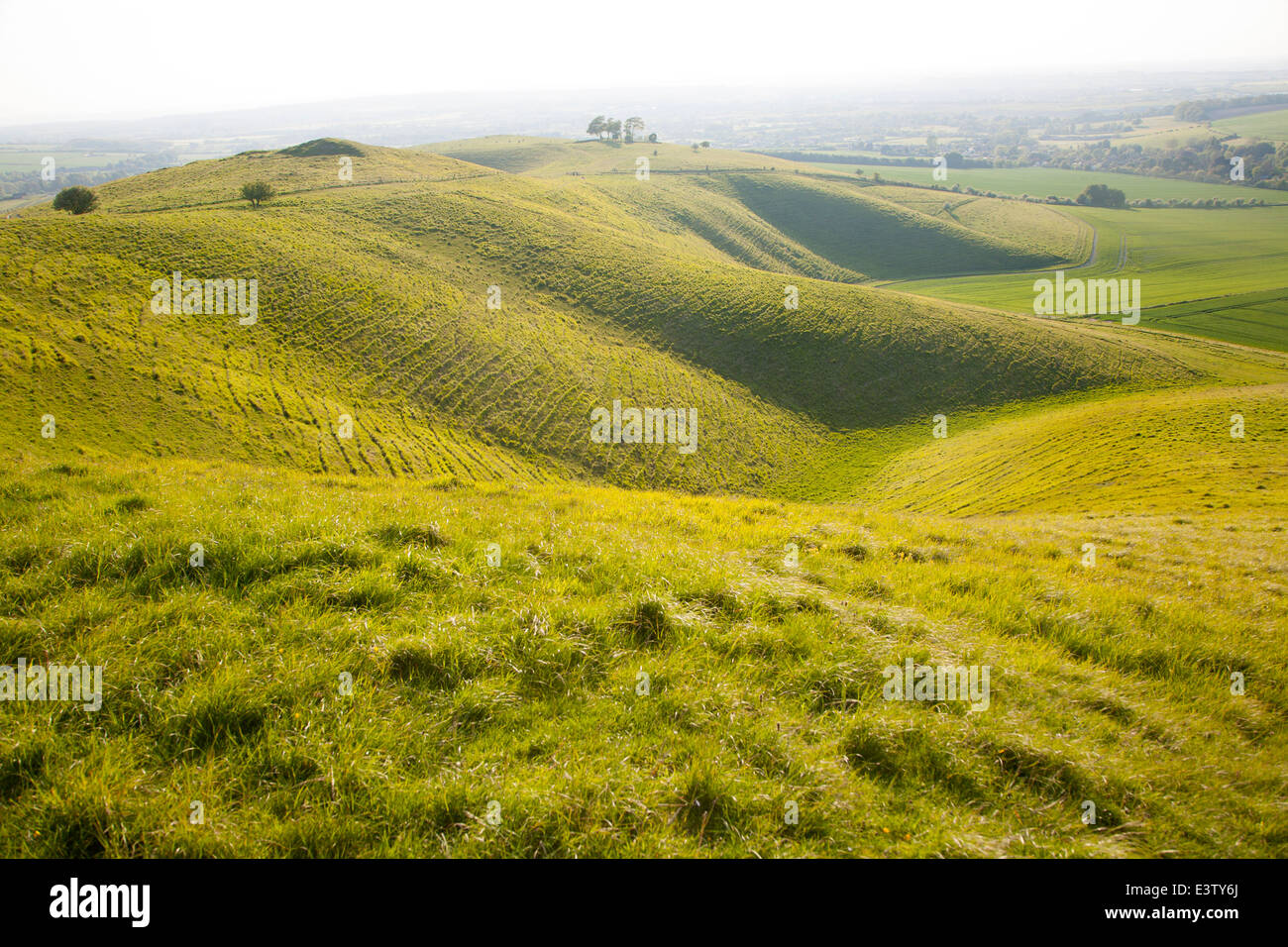 Campagna di laminazione a secco di valli gesso Cherhill paesaggio, Wiltshire, Inghilterra Foto Stock