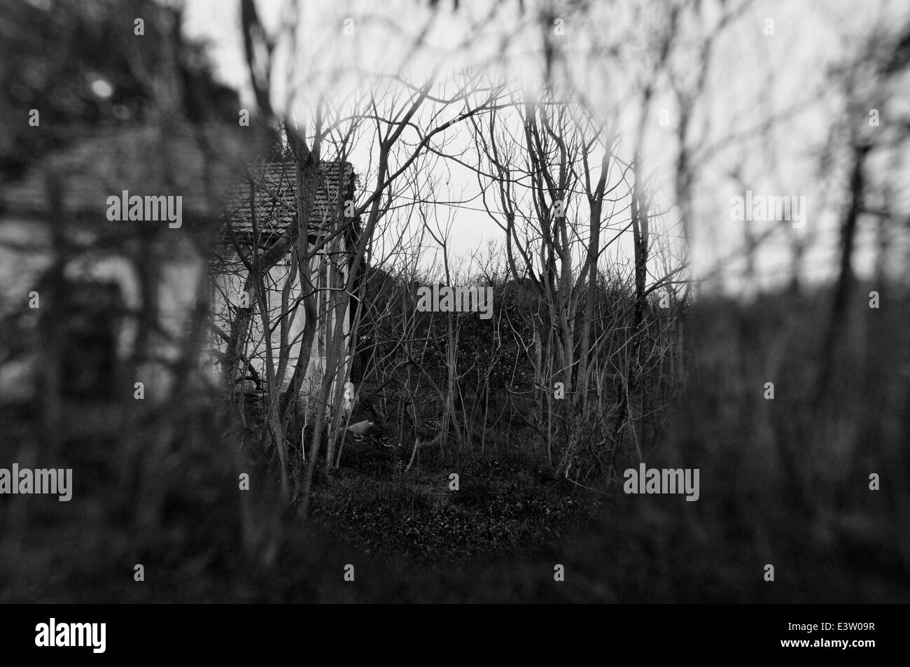 Vecchia casa abbandonata nei boschi e alberi sfocate. In bianco e nero. Foto Stock