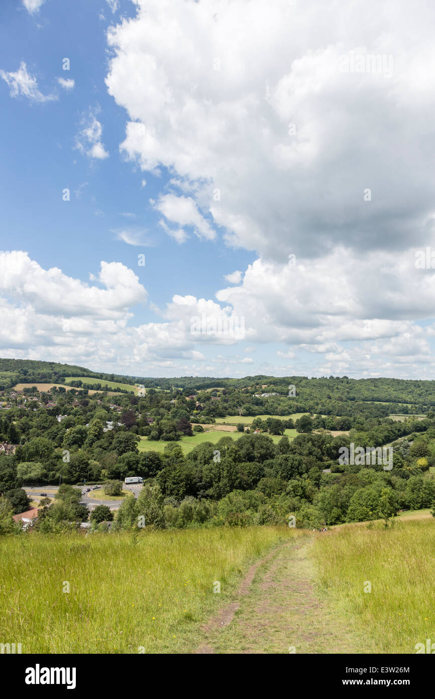 Vista sulla campagna del Surrey e il percorso dalla popolare area ricreativa, Box Hill vicino a Dorking, Regno Unito in estate con il blu del cielo Foto Stock