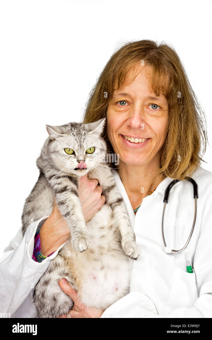 Veterinario femmina tenendo un gatto Foto Stock