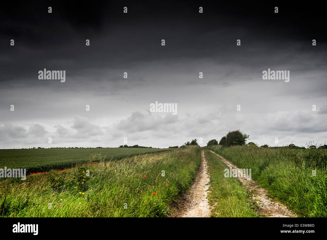 Nuvole temporalesche raccolta sulla campagna di Norfolk. Foto Stock