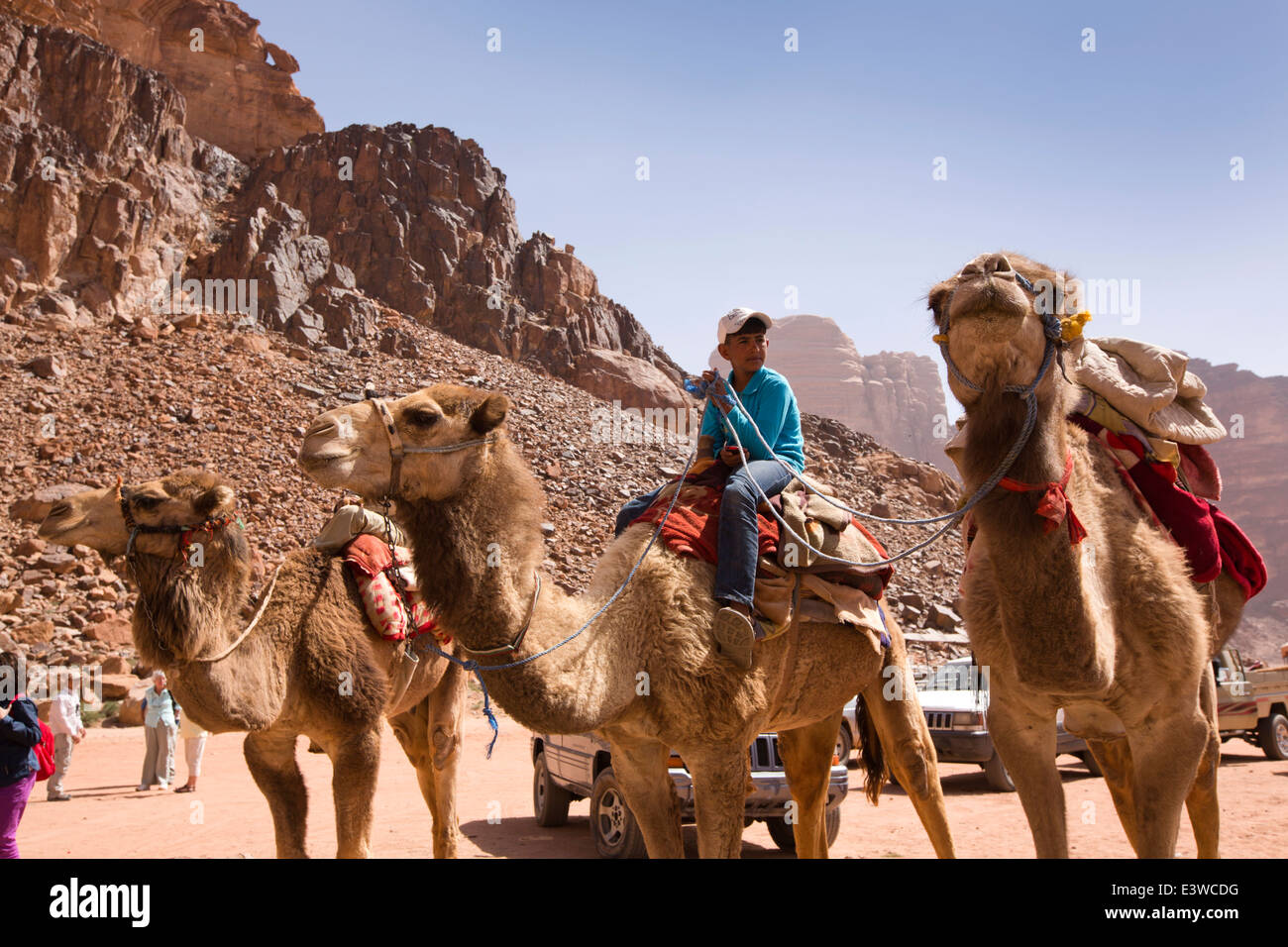 Giordania, Wadi Rum, giovane ragazzo sui cammelli in attesa di dare ai turisti la marcia ad acqua dolce primavera nel deserto giordano Foto Stock