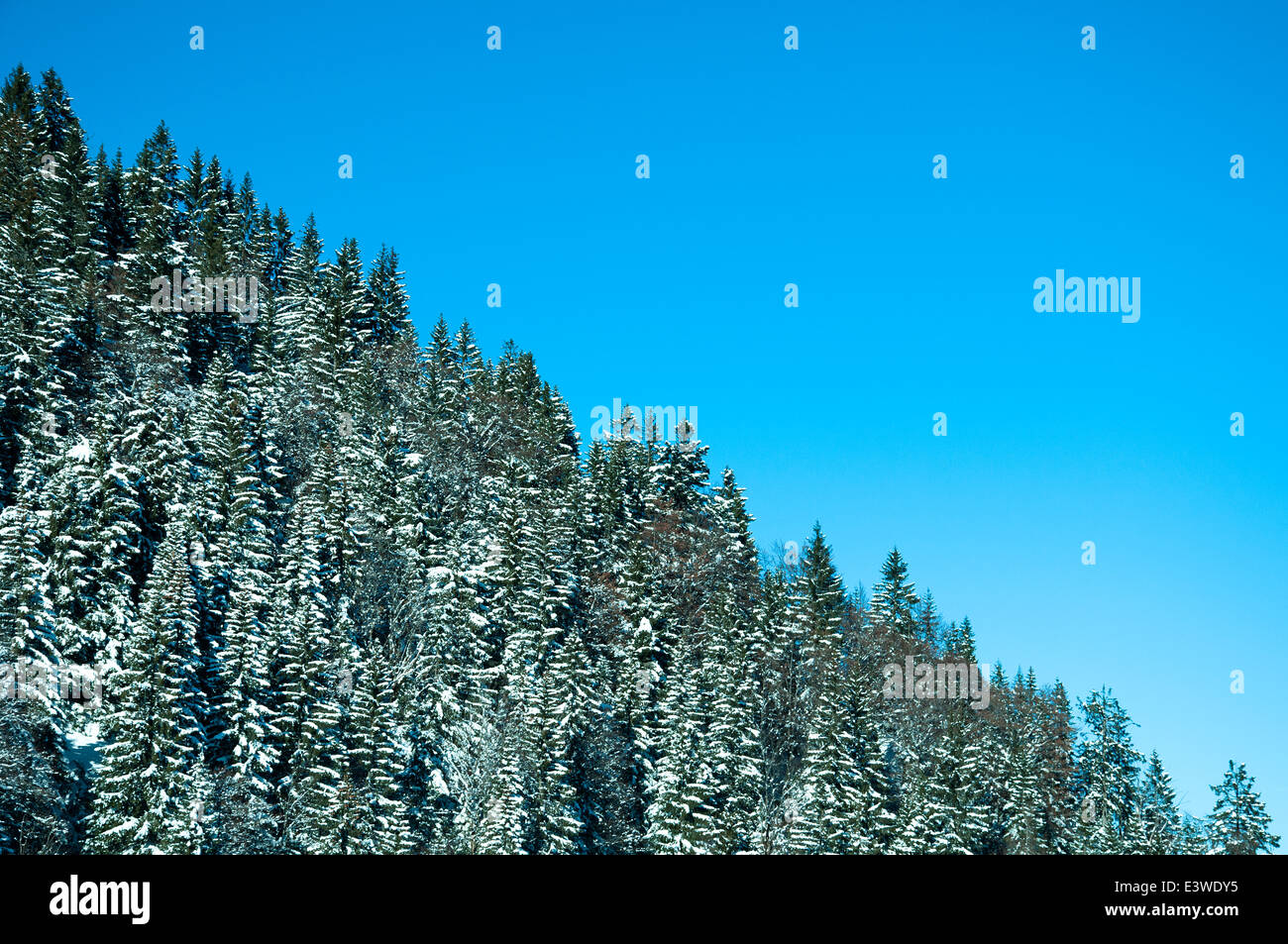 Paesaggio invernale in montagna Foto Stock