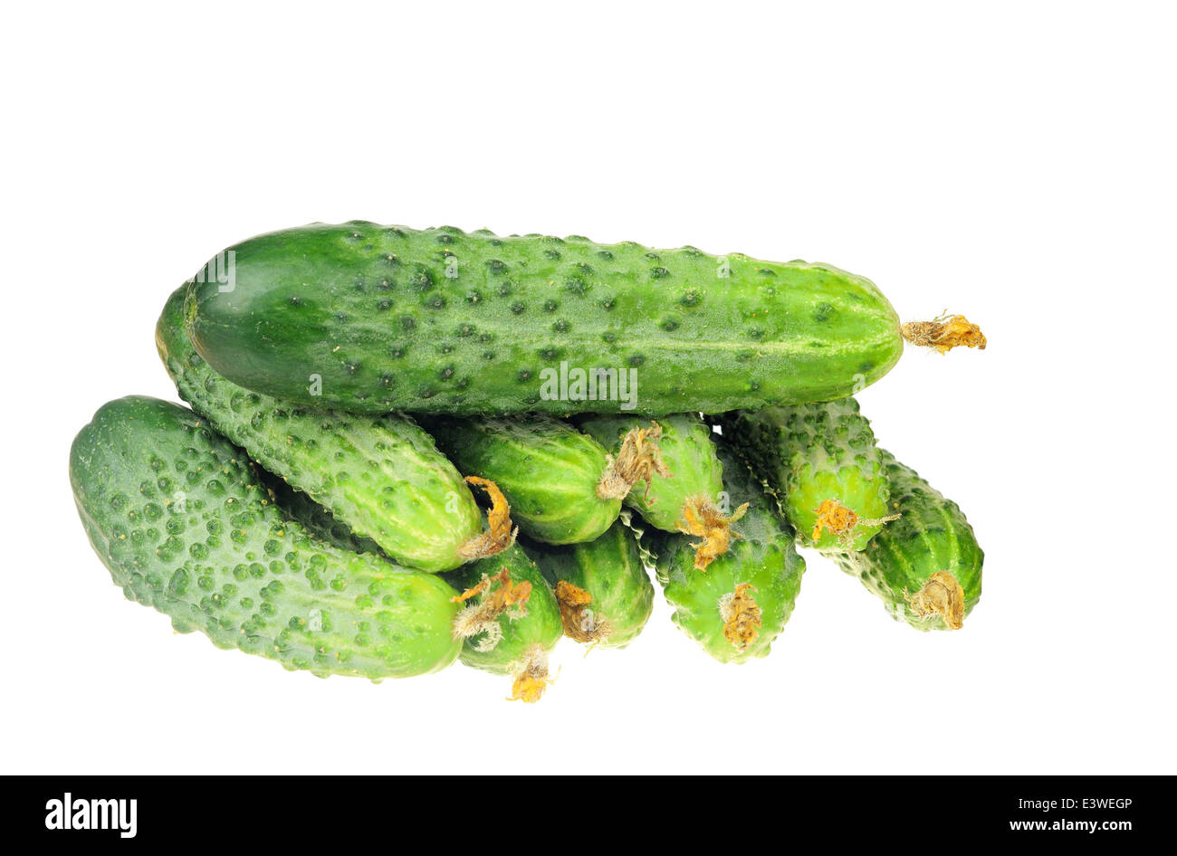 Pila di cetriolo con flowe a secco isolato su sfondo bianco Foto Stock